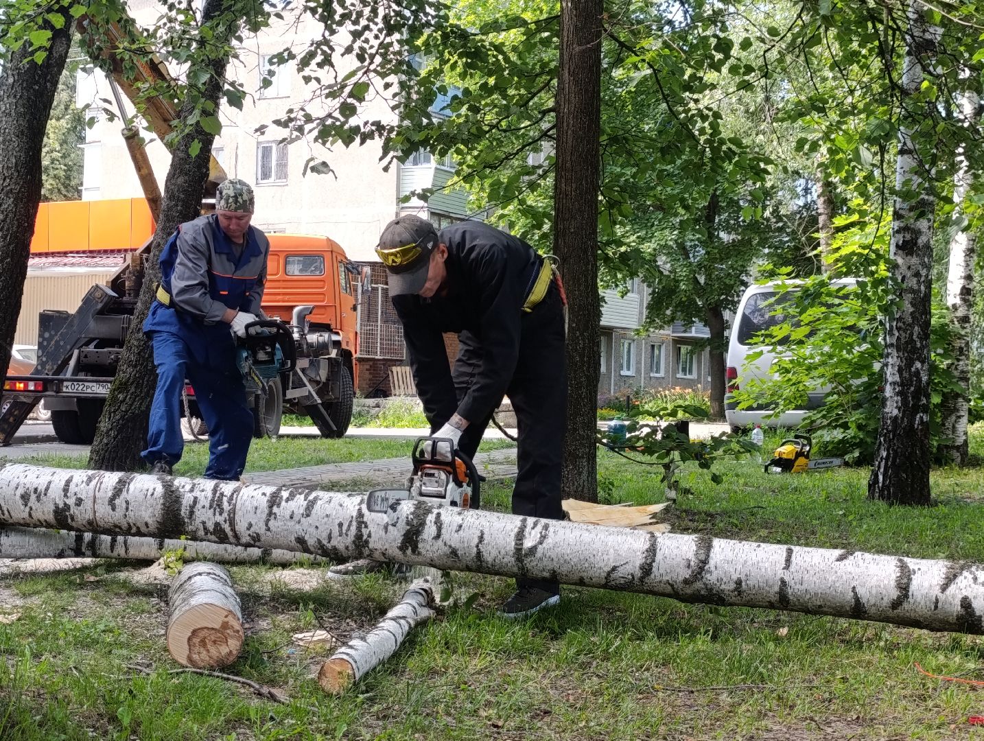 Бронницы, Опиловка деревьев, Строительная 13,Удаление деревьев, МБУ Благоустройство,