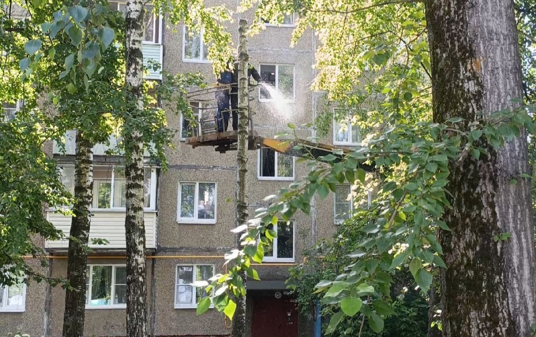 Бронницы, Опиловка деревьев, Строительная 13,Удаление деревьев, МБУ Благоустройство,