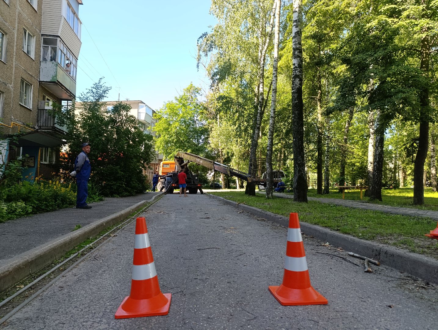 Бронницы, Опиловка деревьев, Строительная 13,Удаление деревьев, МБУ Благоустройство,