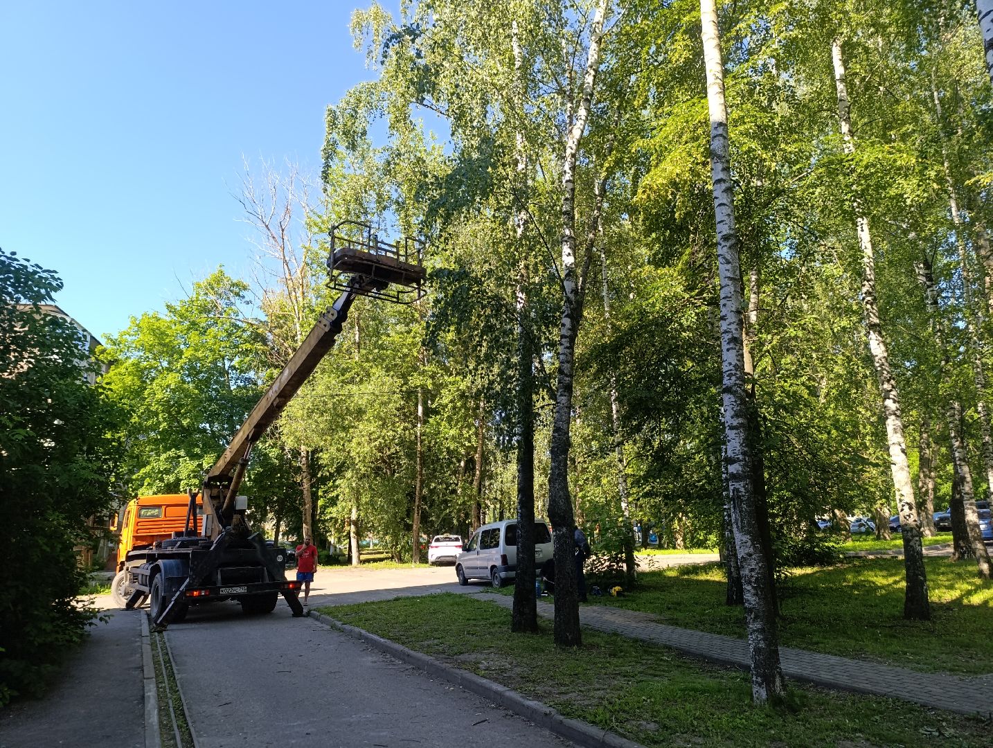 Бронницы, Опиловка деревьев, Строительная 13,Удаление деревьев, МБУ Благоустройство,