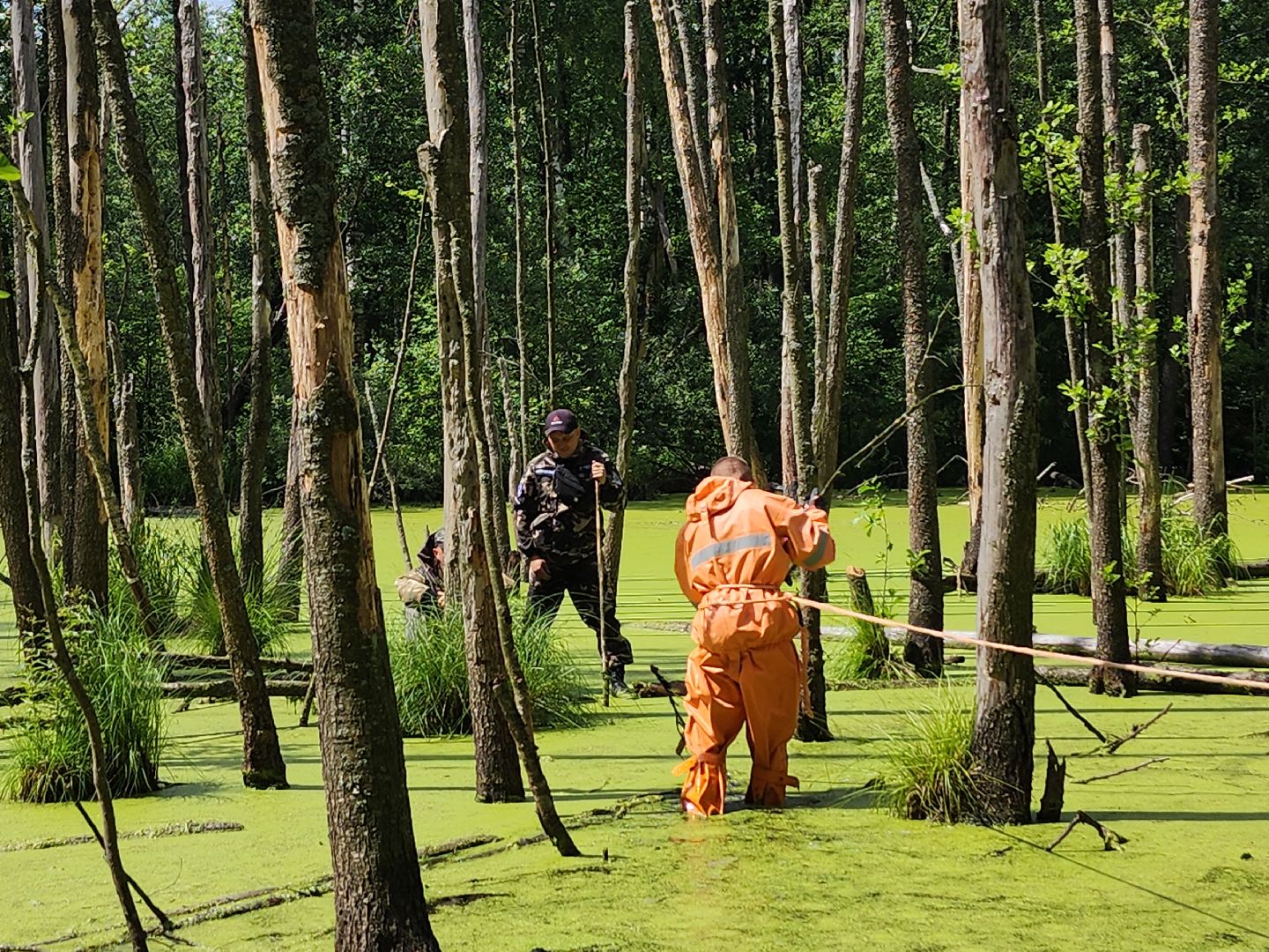 Нацинальный центр помощи пропашим и пострадавшим детям, поиск пропавших детей, волонтеры-поисковики, Ногинск, Богородский городской округ,