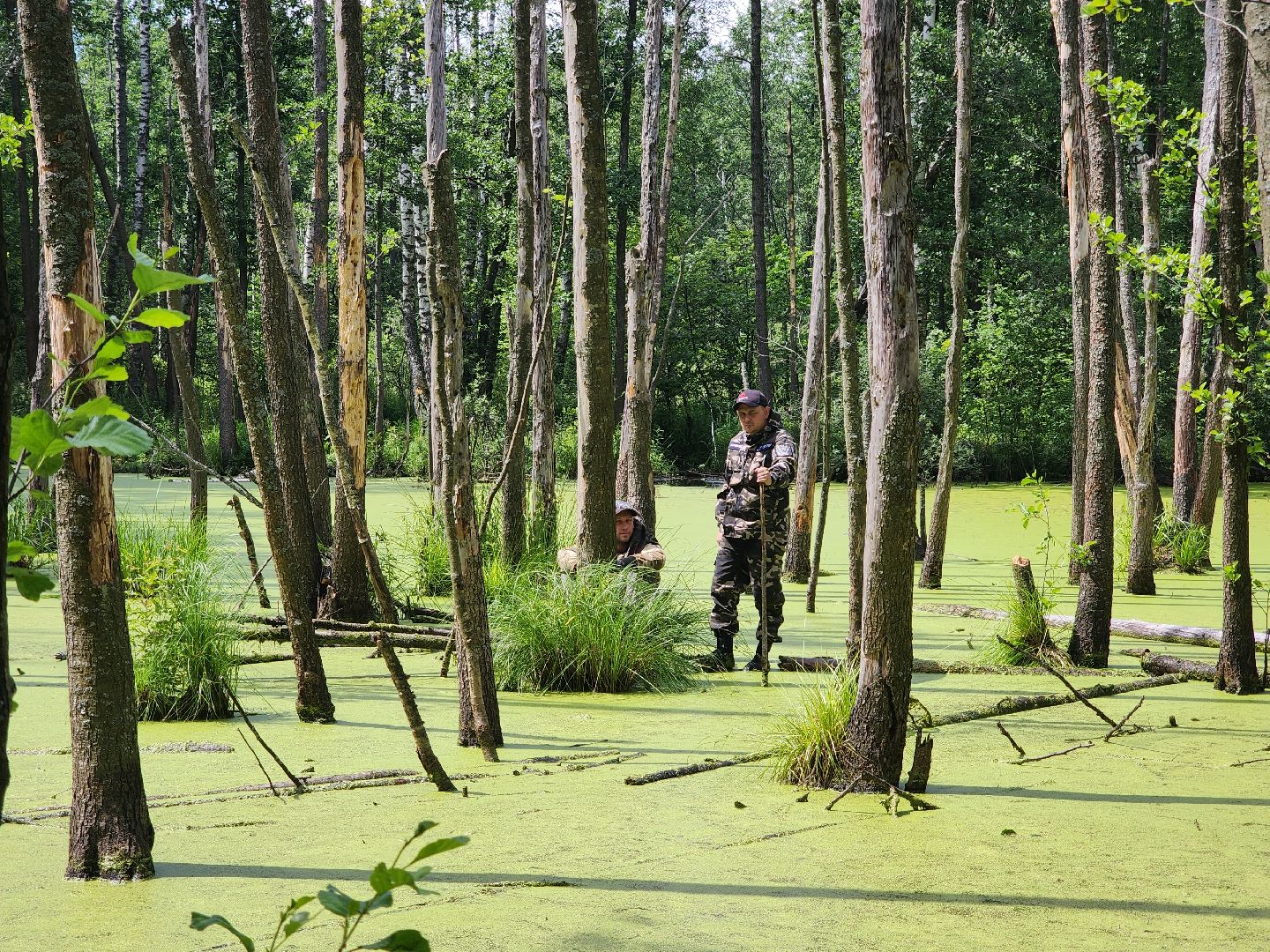Нацинальный центр помощи пропашим и пострадавшим детям, поиск пропавших детей, волонтеры-поисковики, Ногинск, Богородский городской округ,