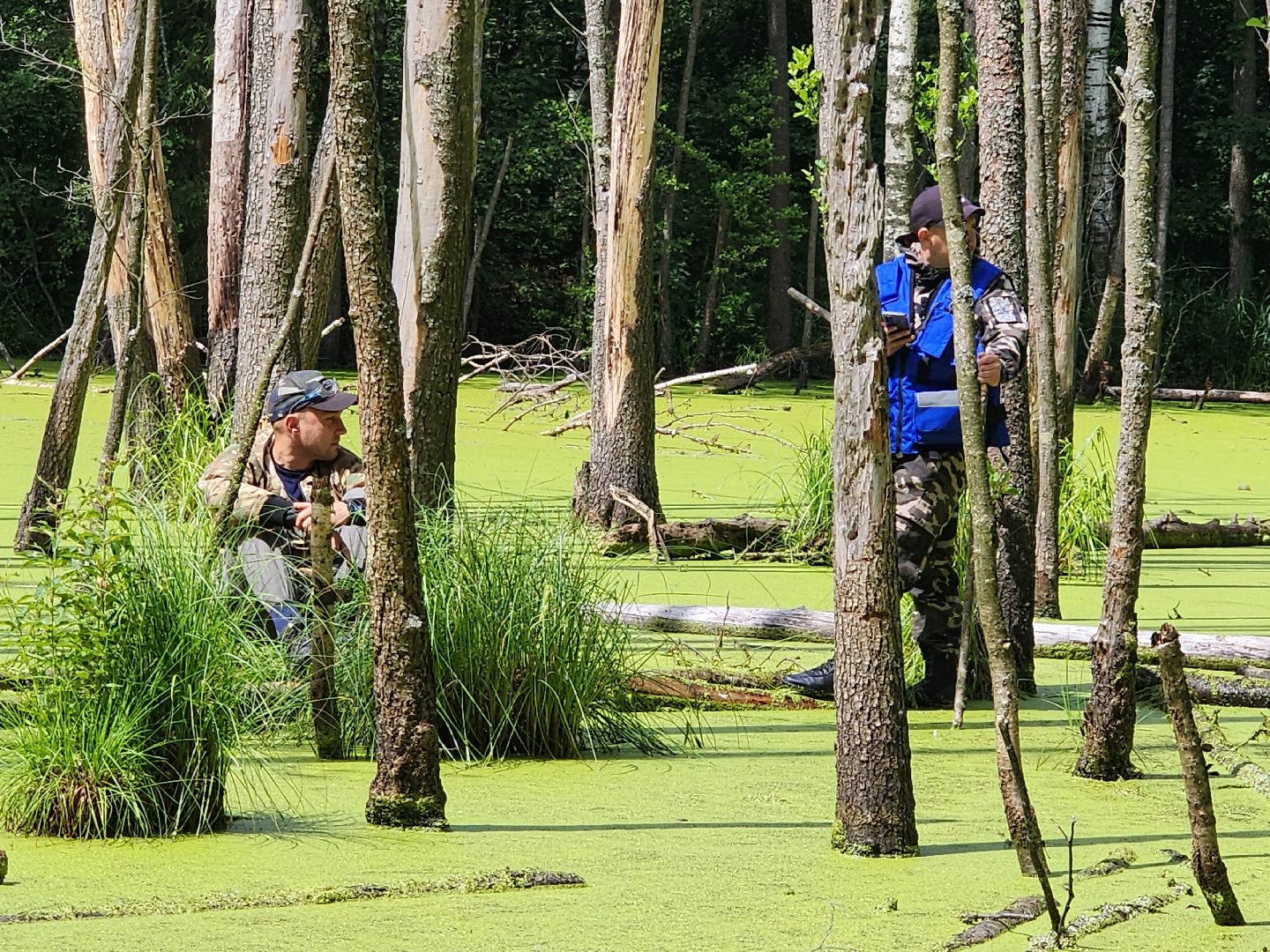 Нацинальный центр помощи пропашим и пострадавшим детям, поиск пропавших детей, волонтеры-поисковики, Ногинск, Богородский городской округ,