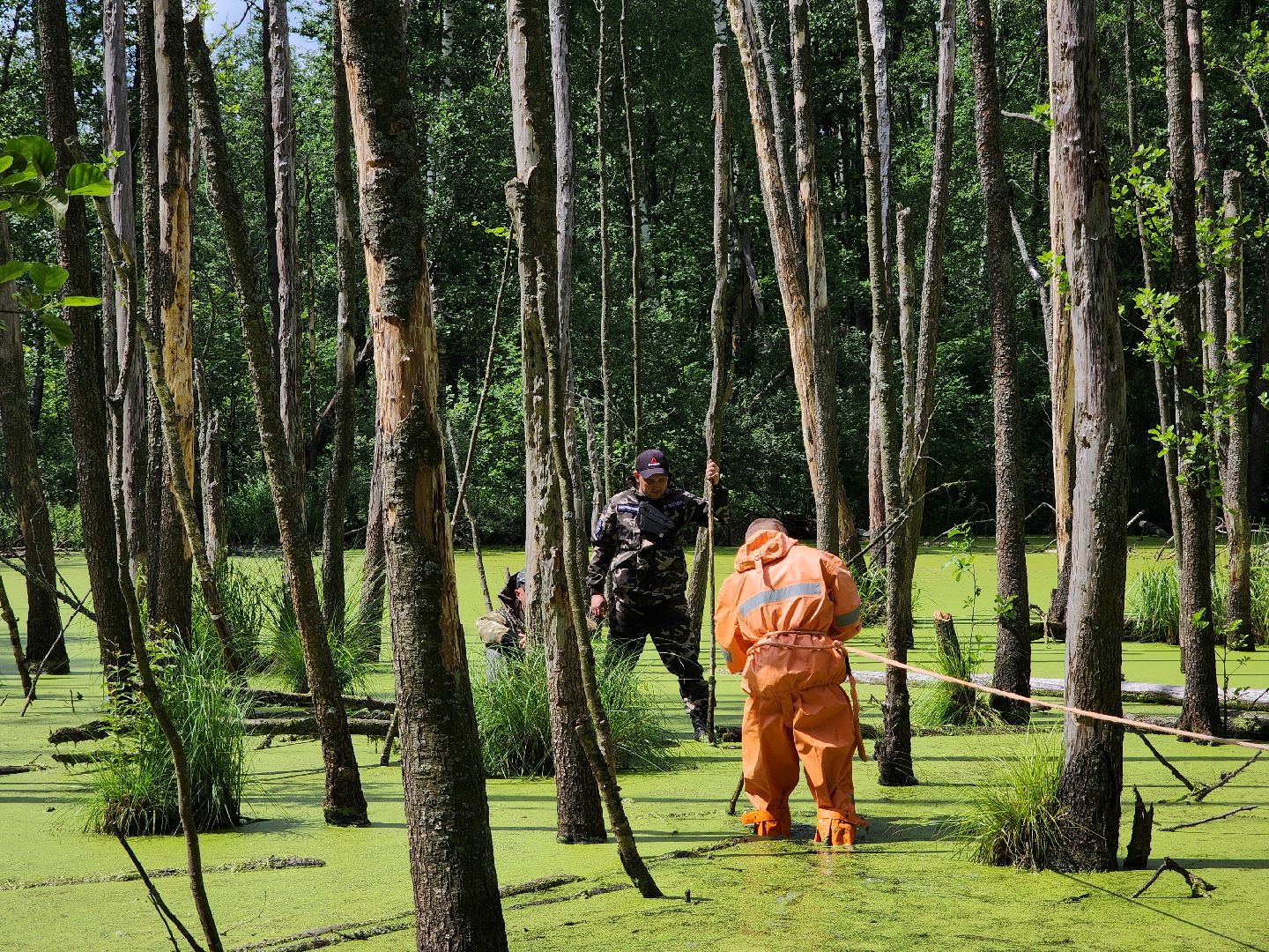 Нацинальный центр помощи пропашим и пострадавшим детям, поиск пропавших детей, волонтеры-поисковики, Ногинск, Богородский городской округ,