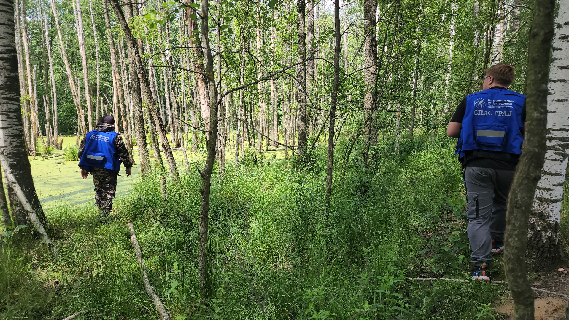Нацинальный центр помощи пропашим и пострадавшим детям, поиск пропавших детей, волонтеры-поисковики, Ногинск, Богородский городской округ,