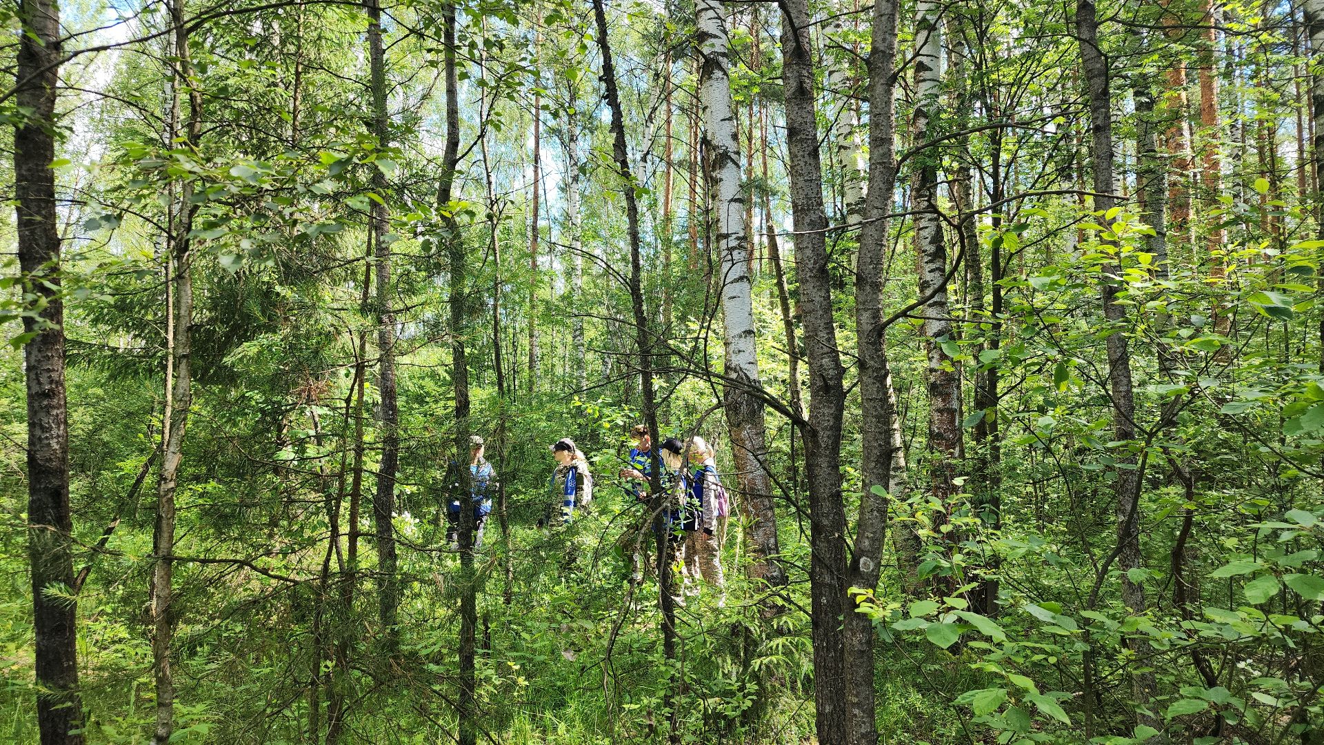 Нацинальный центр помощи пропашим и пострадавшим детям, поиск пропавших детей, волонтеры-поисковики, Ногинск, Богородский городской округ,