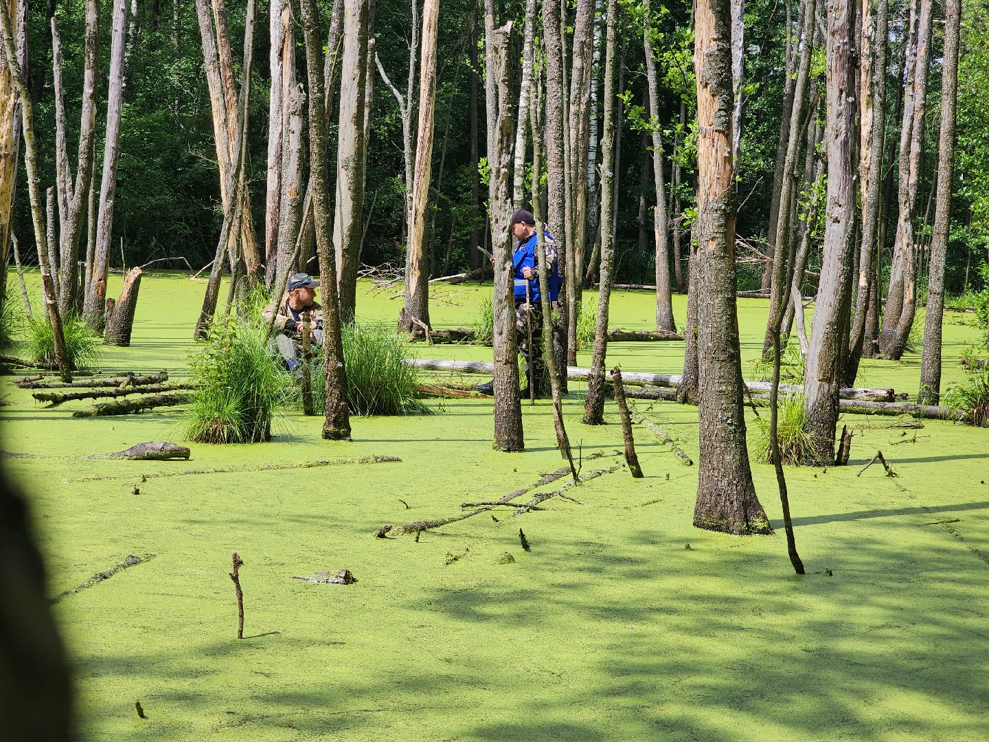 Нацинальный центр помощи пропашим и пострадавшим детям, поиск пропавших детей, волонтеры-поисковики, Ногинск, Богородский городской округ,