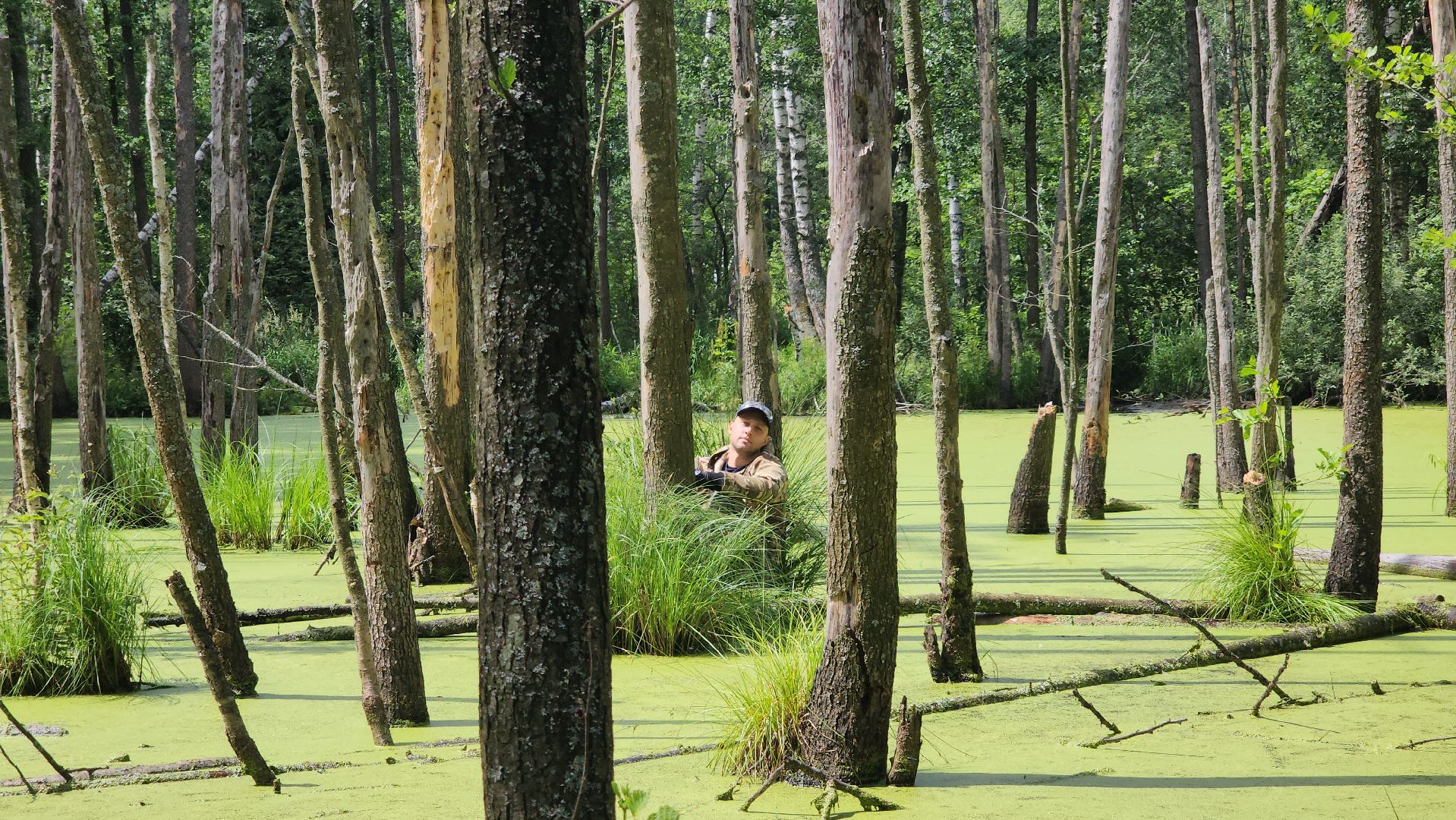 Нацинальный центр помощи пропашим и пострадавшим детям, поиск пропавших детей, волонтеры-поисковики, Ногинск, Богородский городской округ,