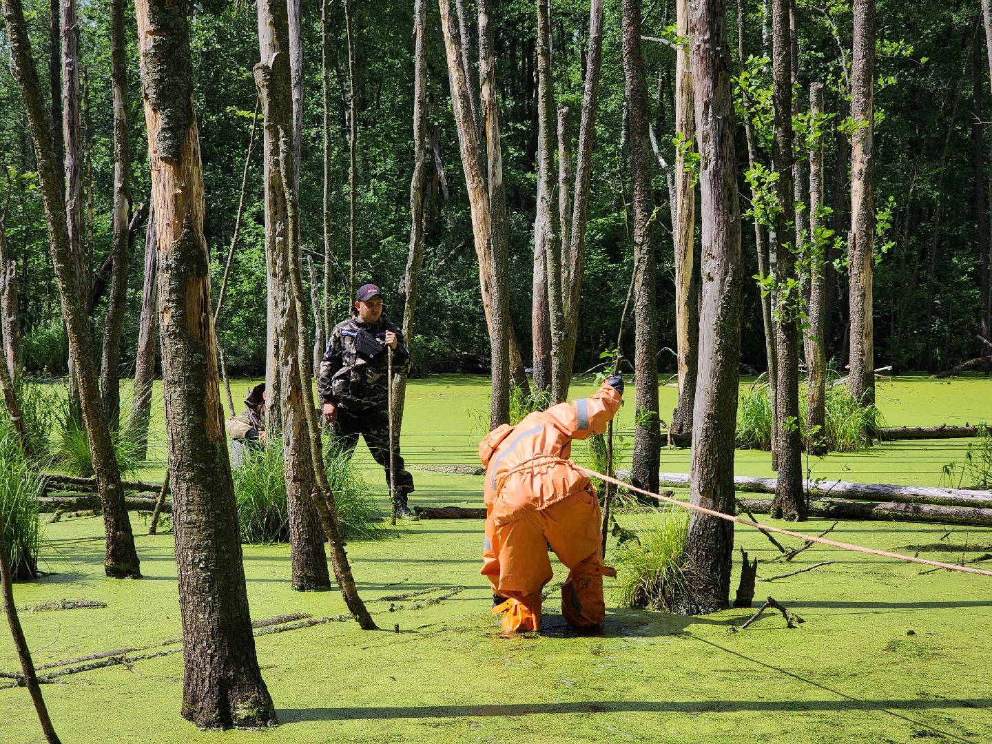 Нацинальный центр помощи пропашим и пострадавшим детям, поиск пропавших детей, волонтеры-поисковики, Ногинск, Богородский городской округ,