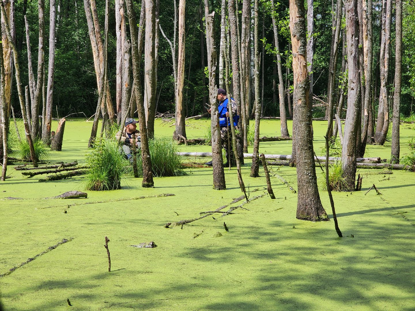 Нацинальный центр помощи пропашим и пострадавшим детям, поиск пропавших детей, волонтеры-поисковики, Ногинск, Богородский городской округ,