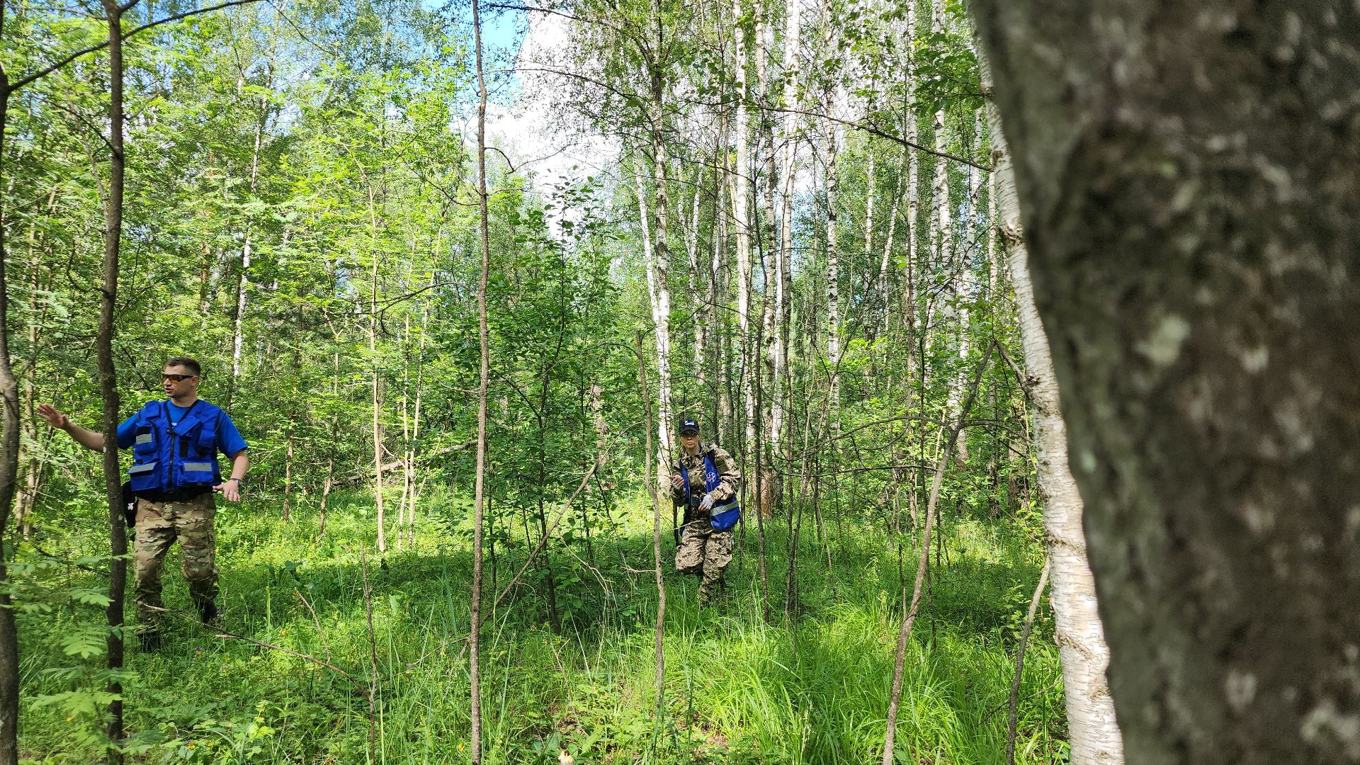Нацинальный центр помощи пропашим и пострадавшим детям, поиск пропавших детей, волонтеры-поисковики, Ногинск, Богородский городской округ,