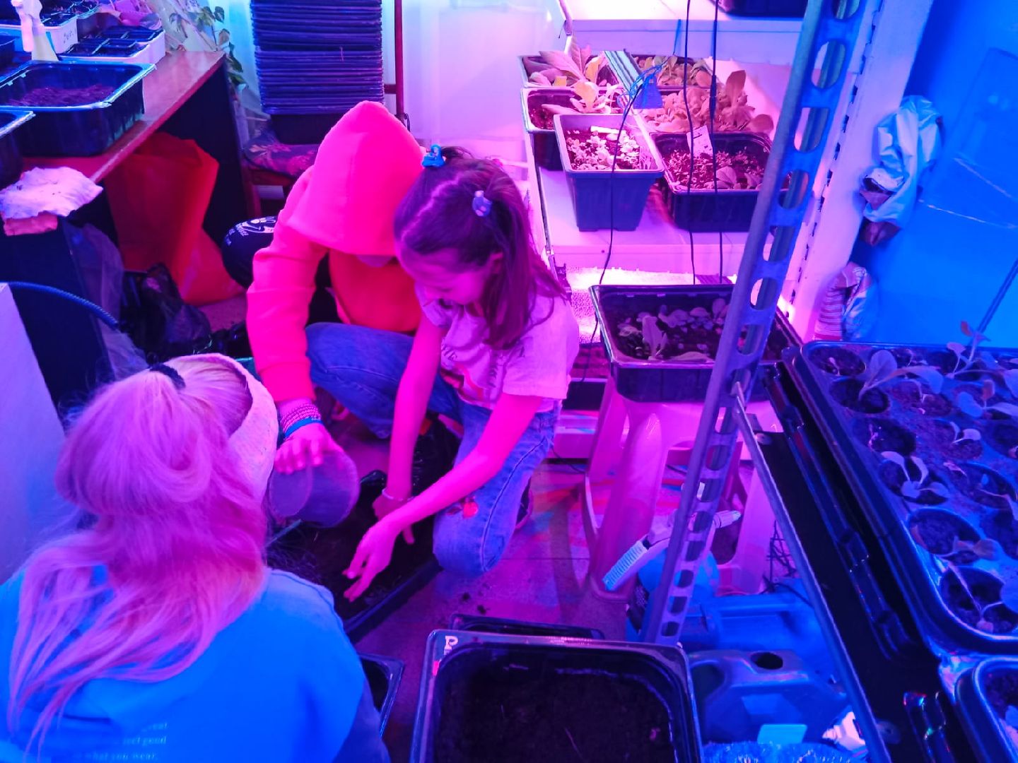 город-сад, волонтёры, досуг, каникулы, дети, бисероплетение