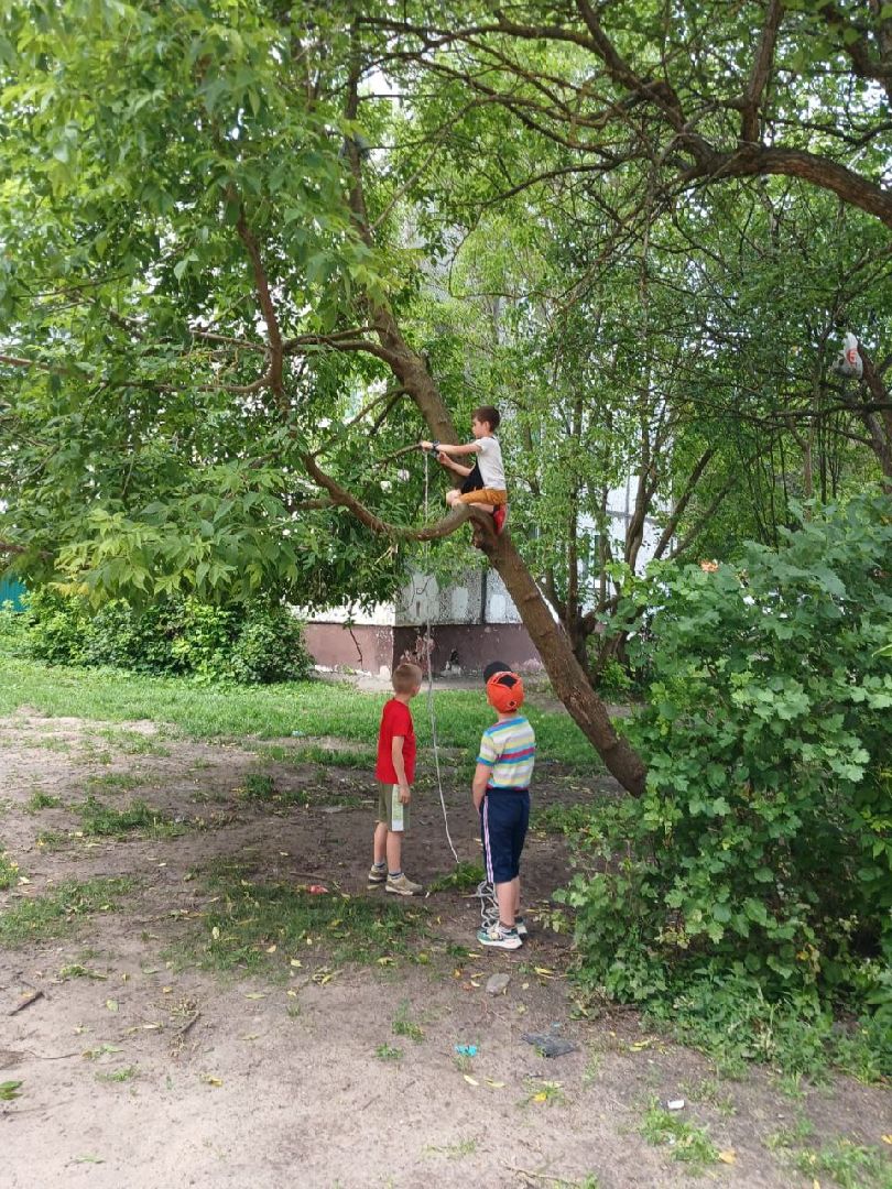 богородский городской округ, электроугли, поселок воровского, выездная администрация, власть, глава округа, общество, жители, благоустройство, озеленение,