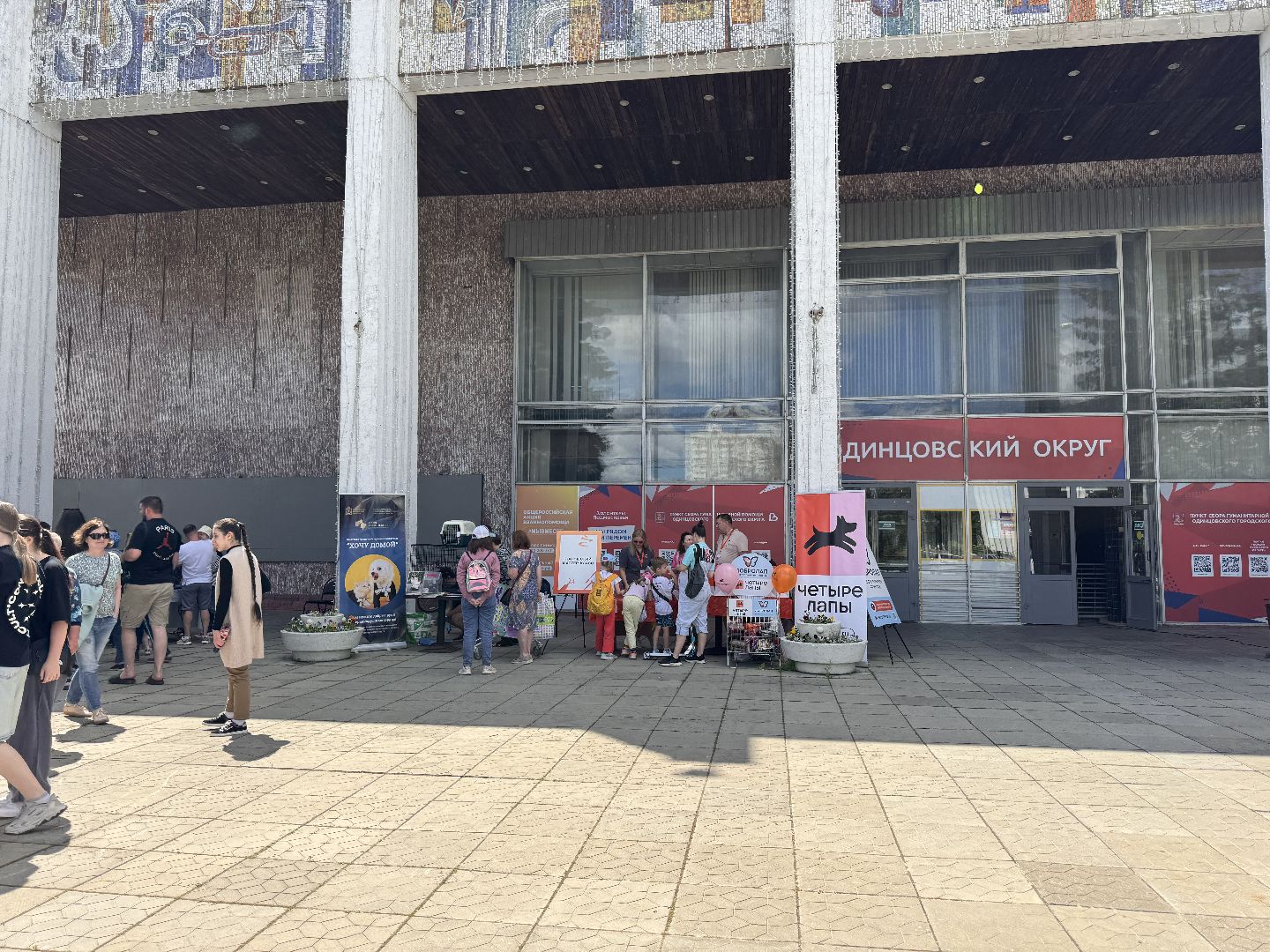 Одинцово, Приют Гав, Выставка кошек и собак,