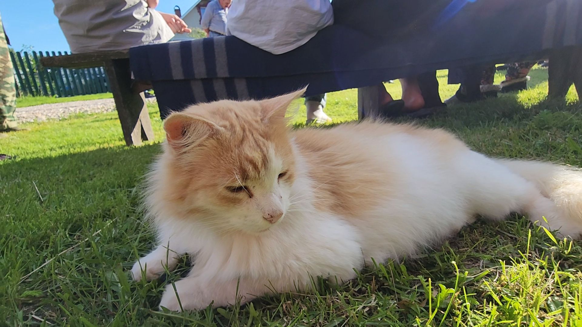 Зарайск, выездная администрация, жкх,