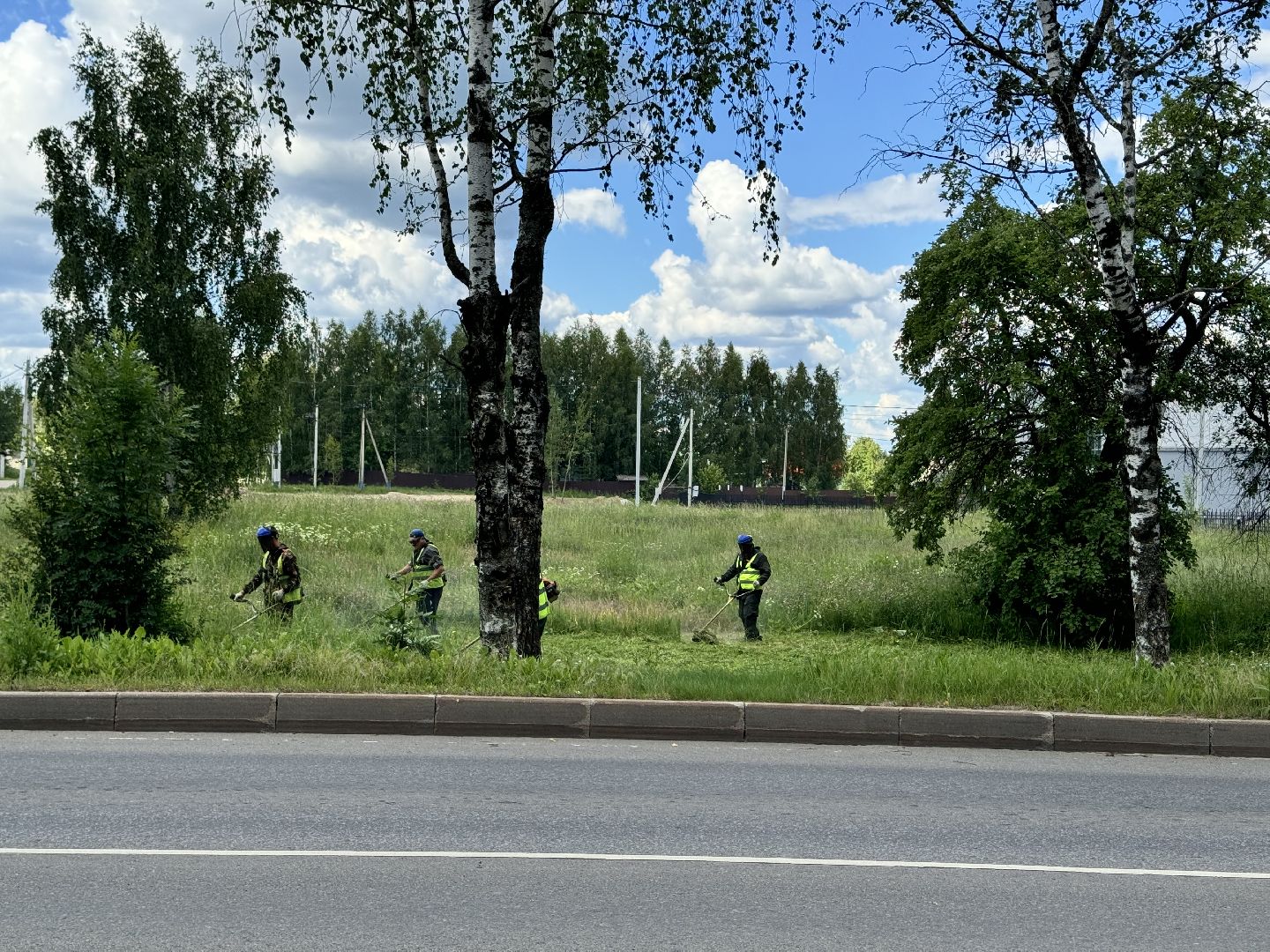 шаховская, трава, покос травы, коммунальная служба,