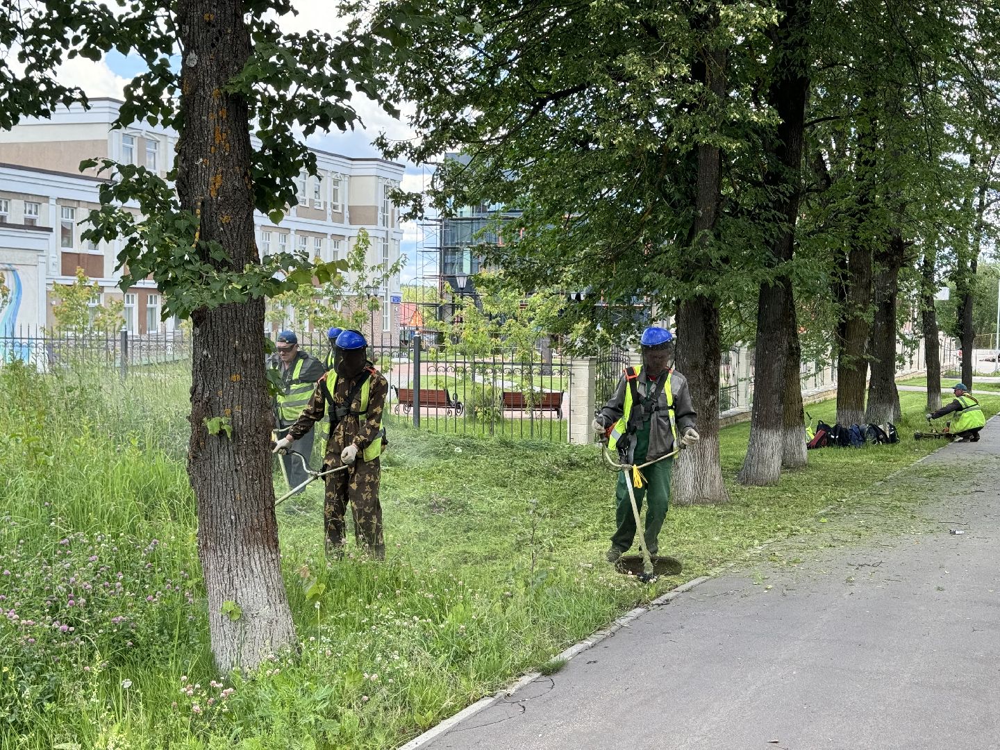 шаховская, трава, покос травы, коммунальная служба,