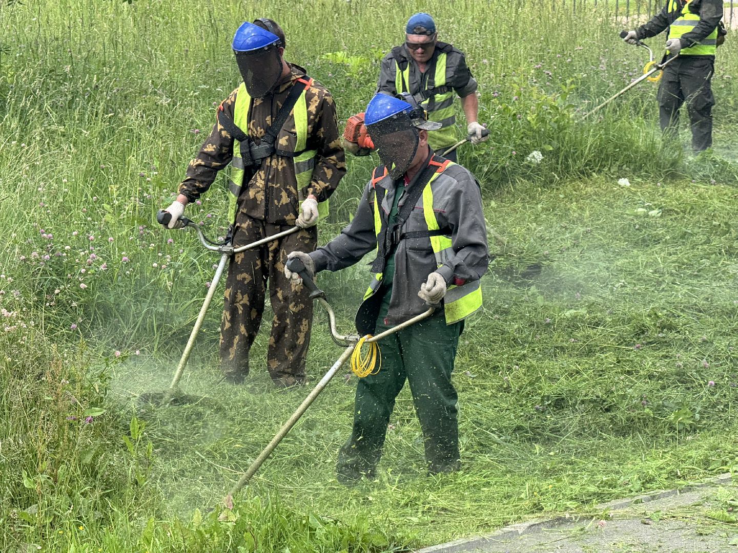 шаховская, трава, покос травы, коммунальная служба,