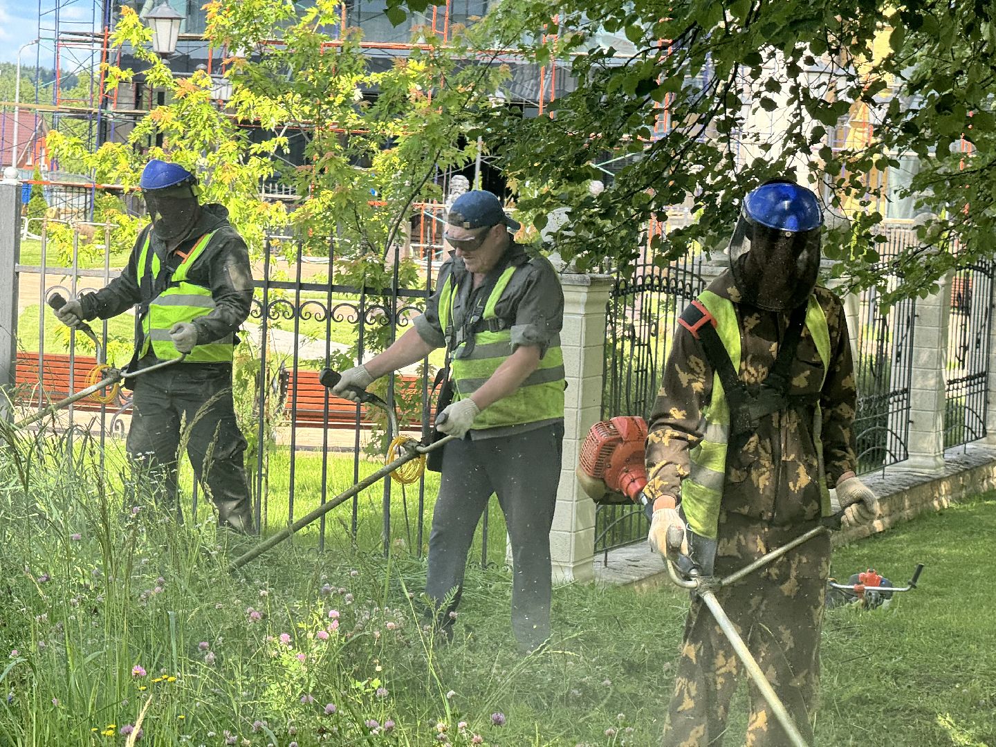 шаховская, трава, покос травы, коммунальная служба,