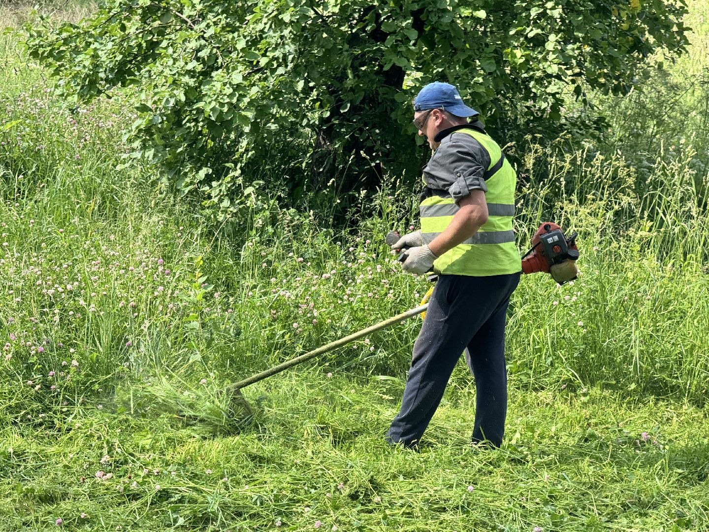 шаховская, трава, покос травы, коммунальная служба,
