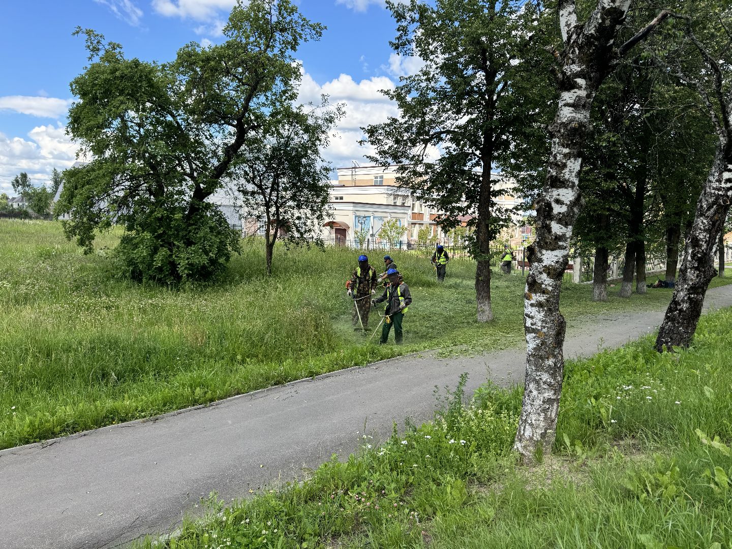 шаховская, трава, покос травы, коммунальная служба,