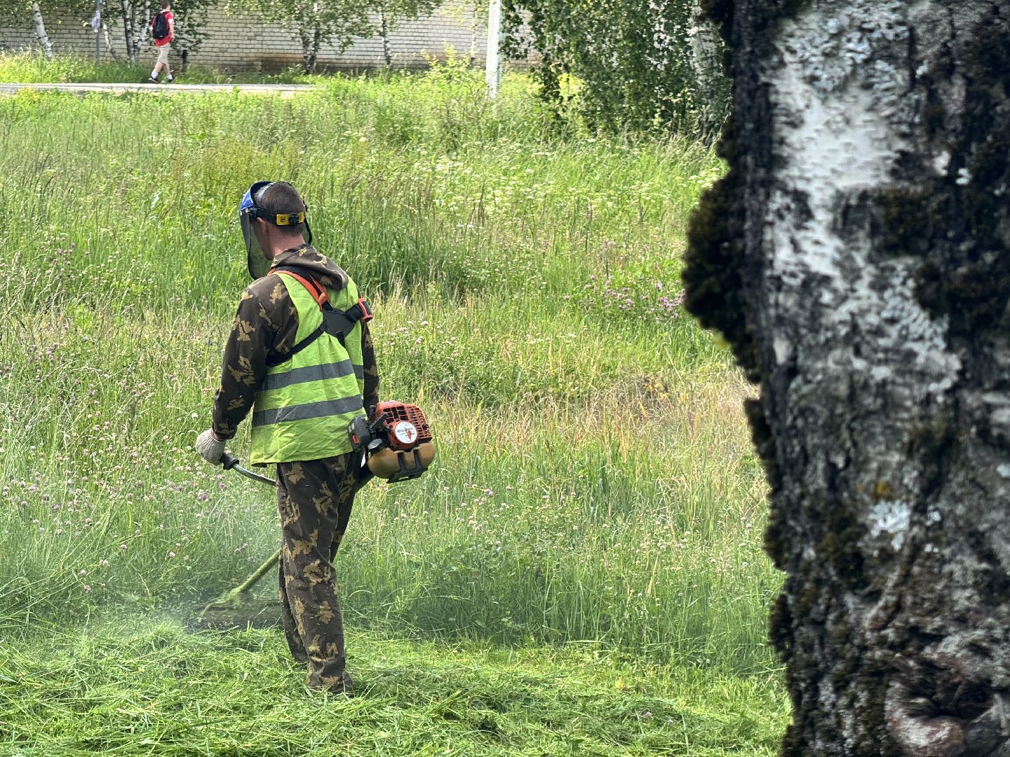 шаховская, трава, покос травы, коммунальная служба,