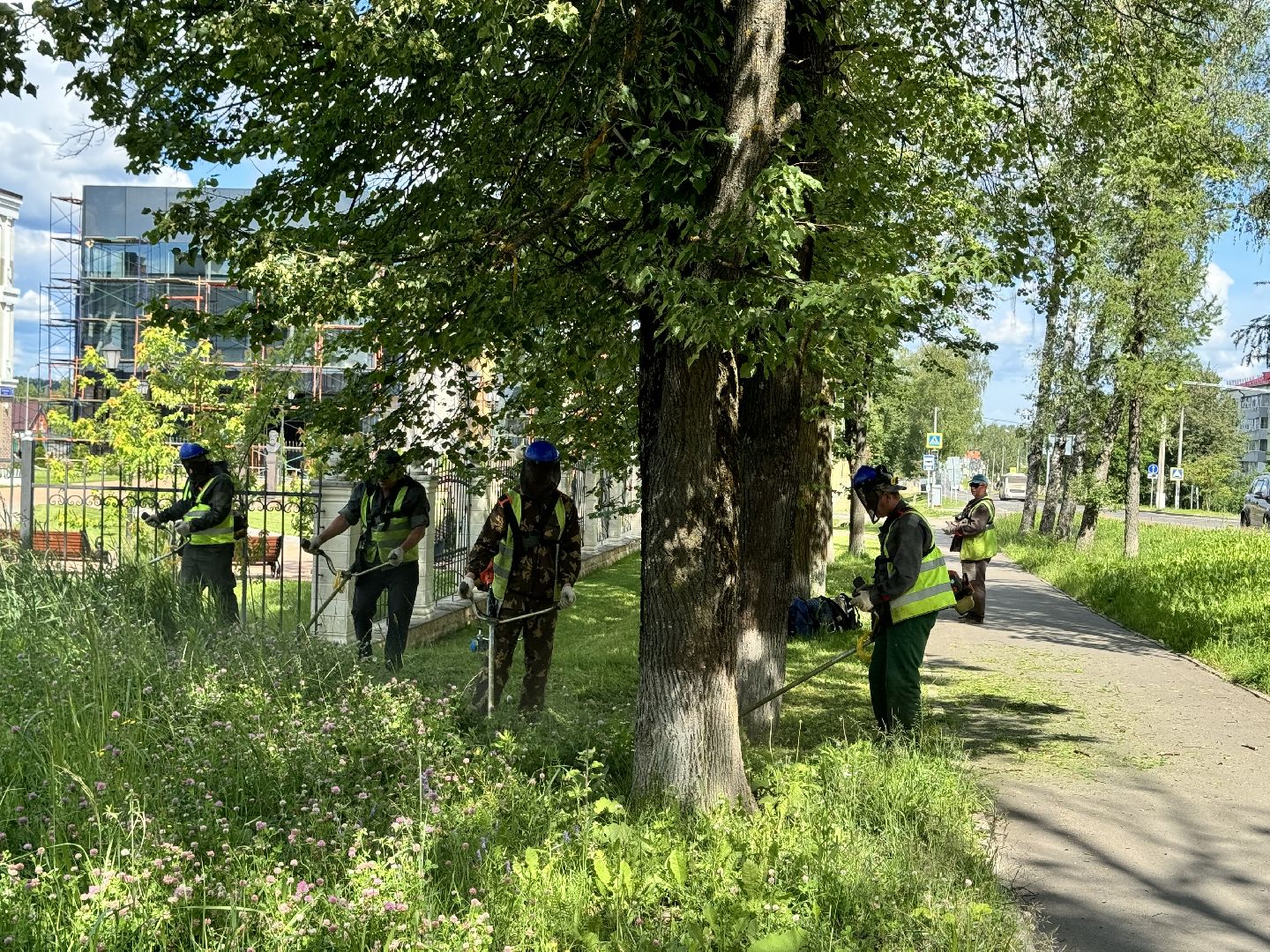 шаховская, трава, покос травы, коммунальная служба,
