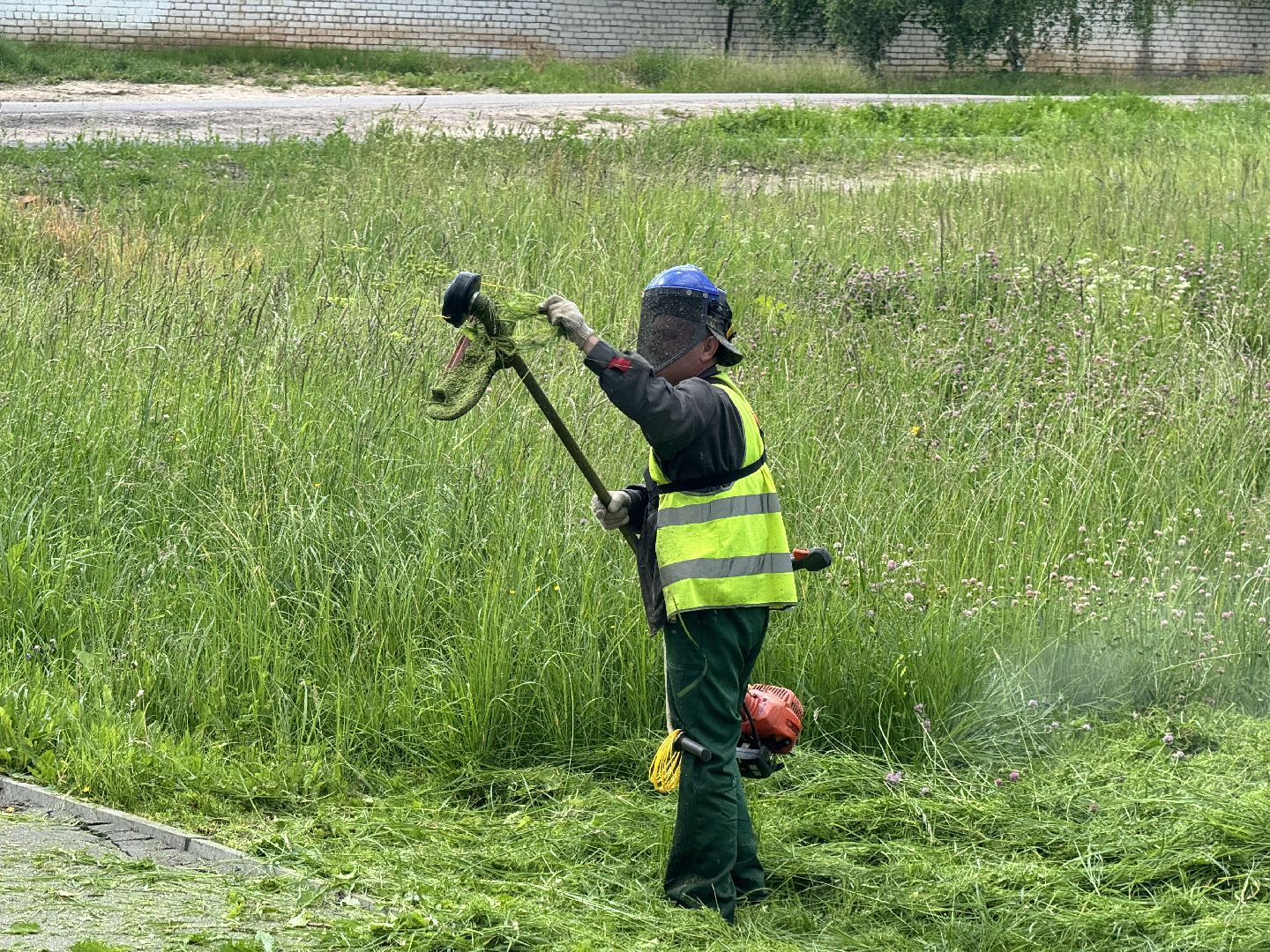 шаховская, трава, покос травы, коммунальная служба,