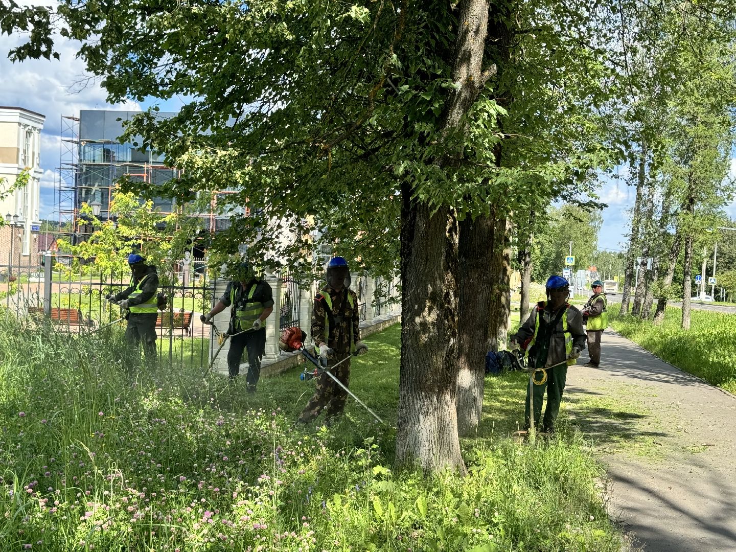 шаховская, трава, покос травы, коммунальная служба,