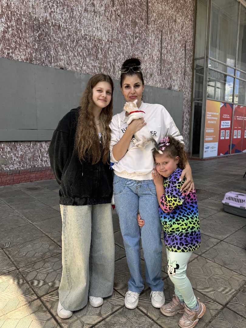 Одинцово, Выставка кошек и собак из приютов, Питомцы в добрые руки, Братья наши меньшие,