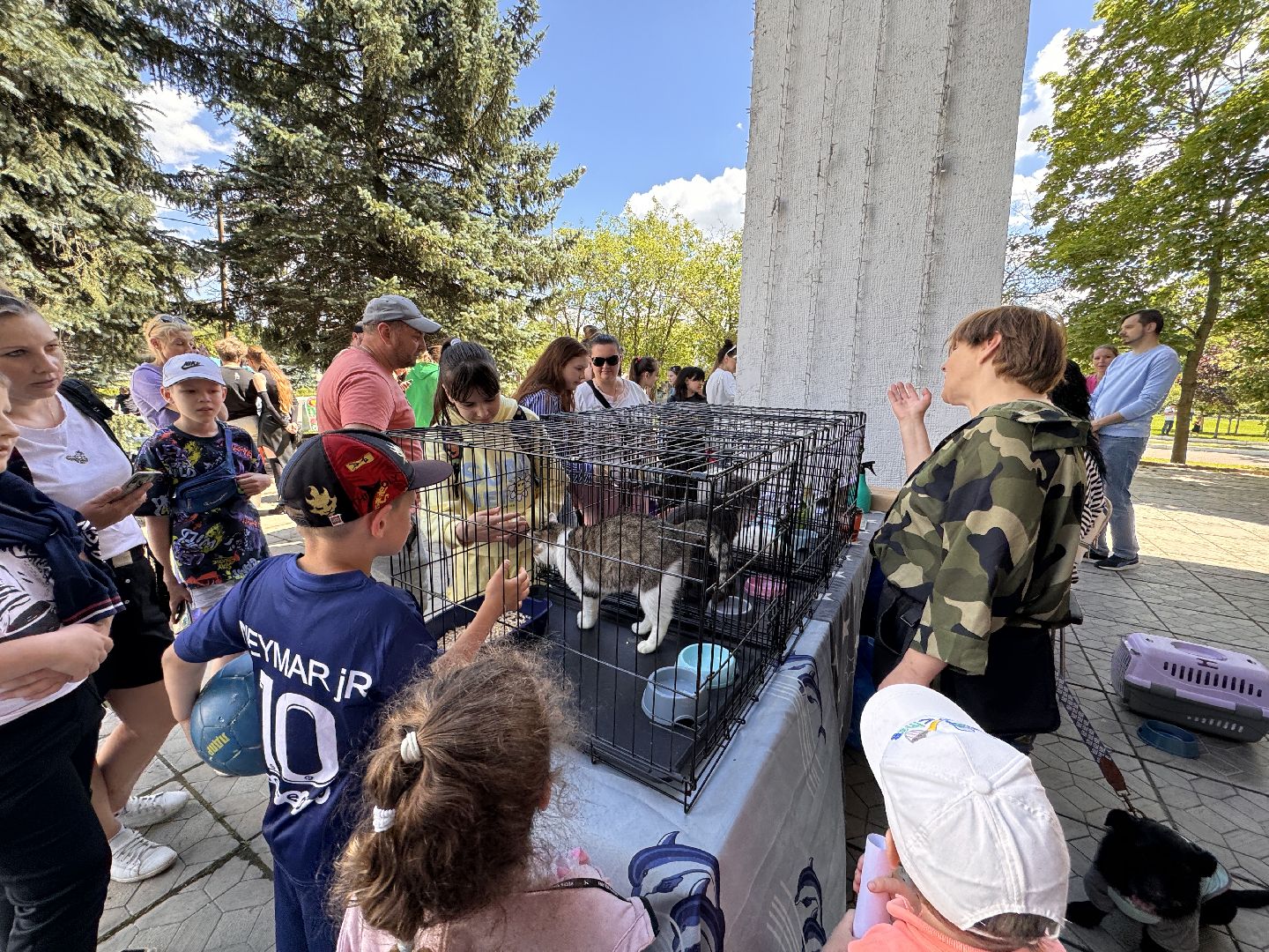 Одинцово, Выставка кошек и собак из приютов, Питомцы в добрые руки, Братья наши меньшие,