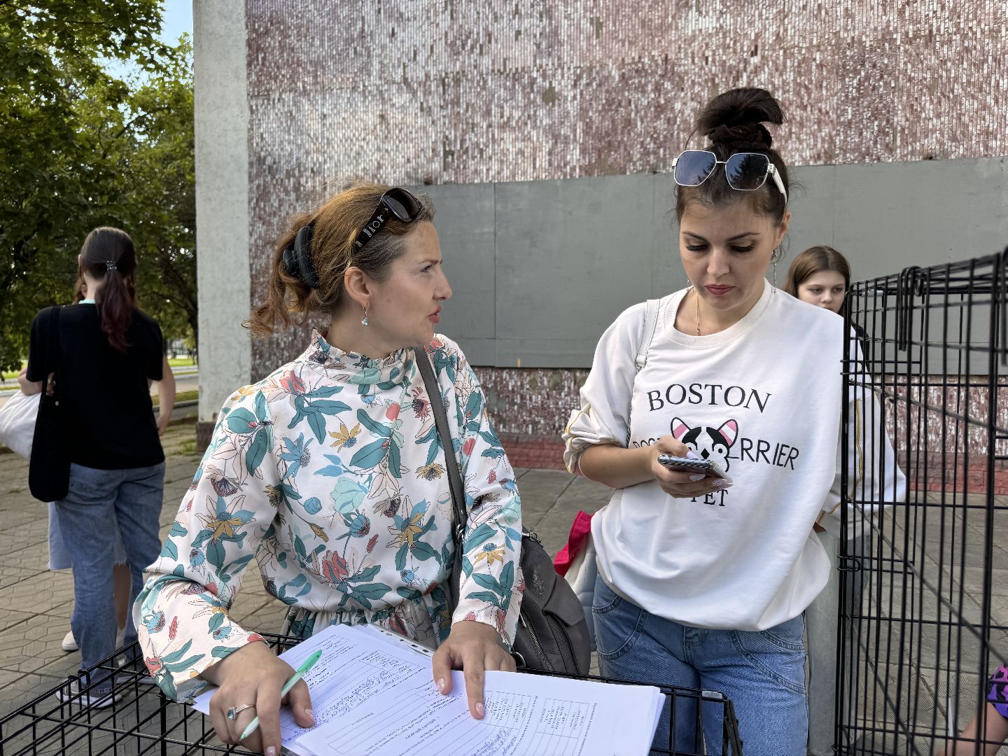 Одинцово, Выставка кошек и собак из приютов, Питомцы в добрые руки, Братья наши меньшие,