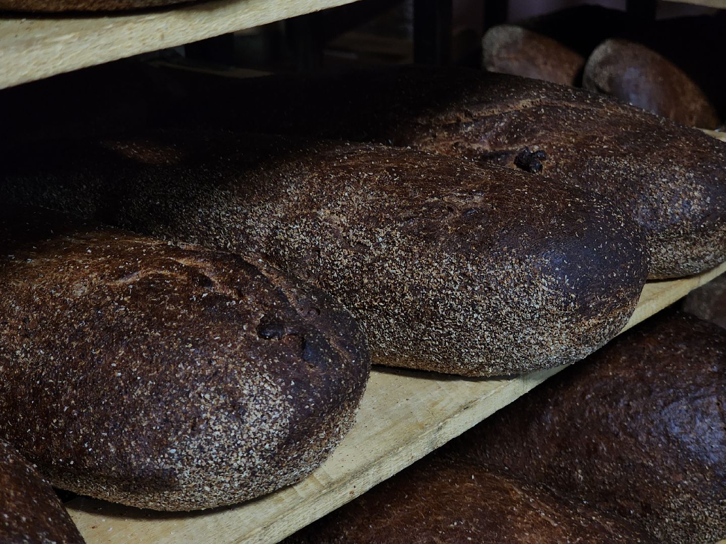 Хлебзавод, Руза, Рузский хлебзавод, модернизация производства, рузский городской округ, экономика, экономика округа,