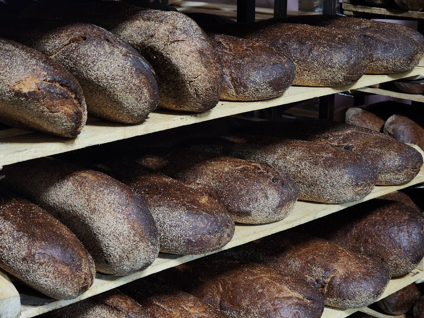 Хлебзавод, Руза, Рузский хлебзавод, модернизация производства, рузский городской округ, экономика, экономика округа,