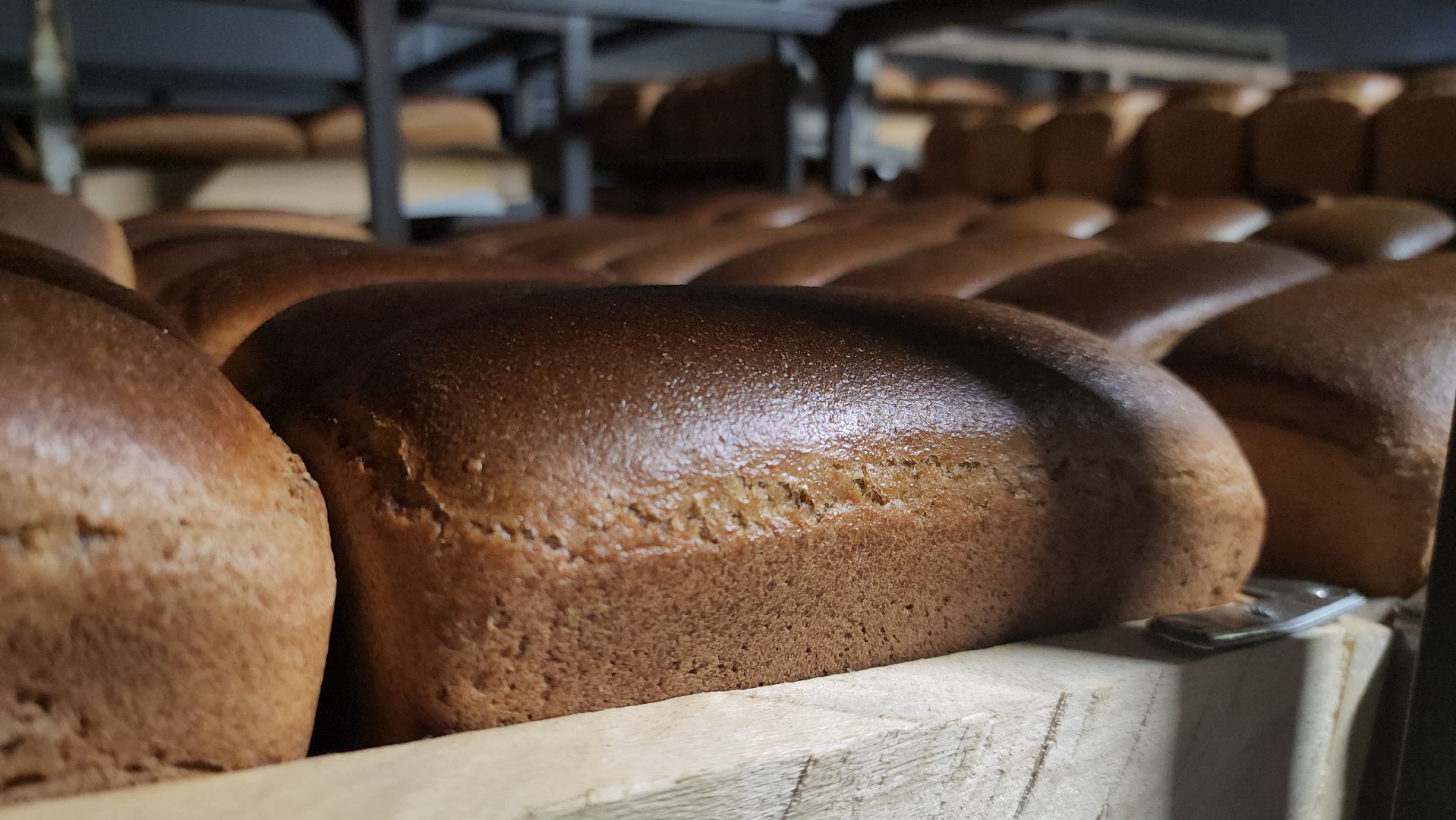 Хлебзавод, Руза, Рузский хлебзавод, модернизация производства, рузский городской округ, экономика, экономика округа,