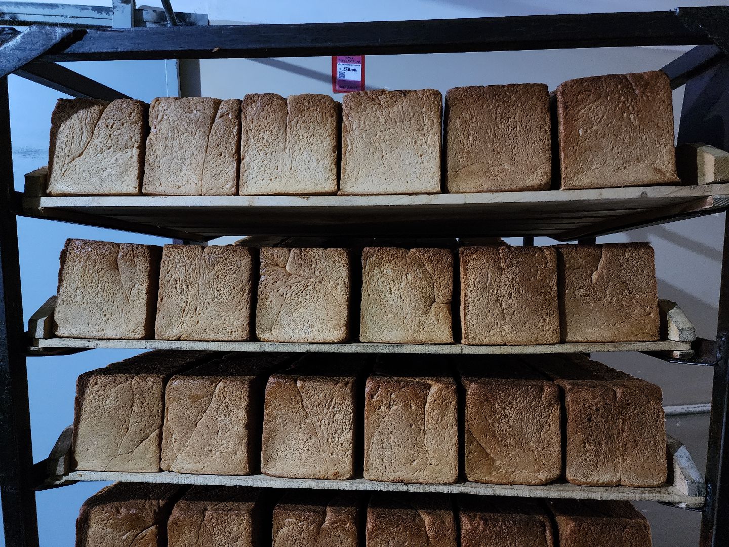 Хлебзавод, Руза, Рузский хлебзавод, модернизация производства, рузский городской округ, экономика, экономика округа,