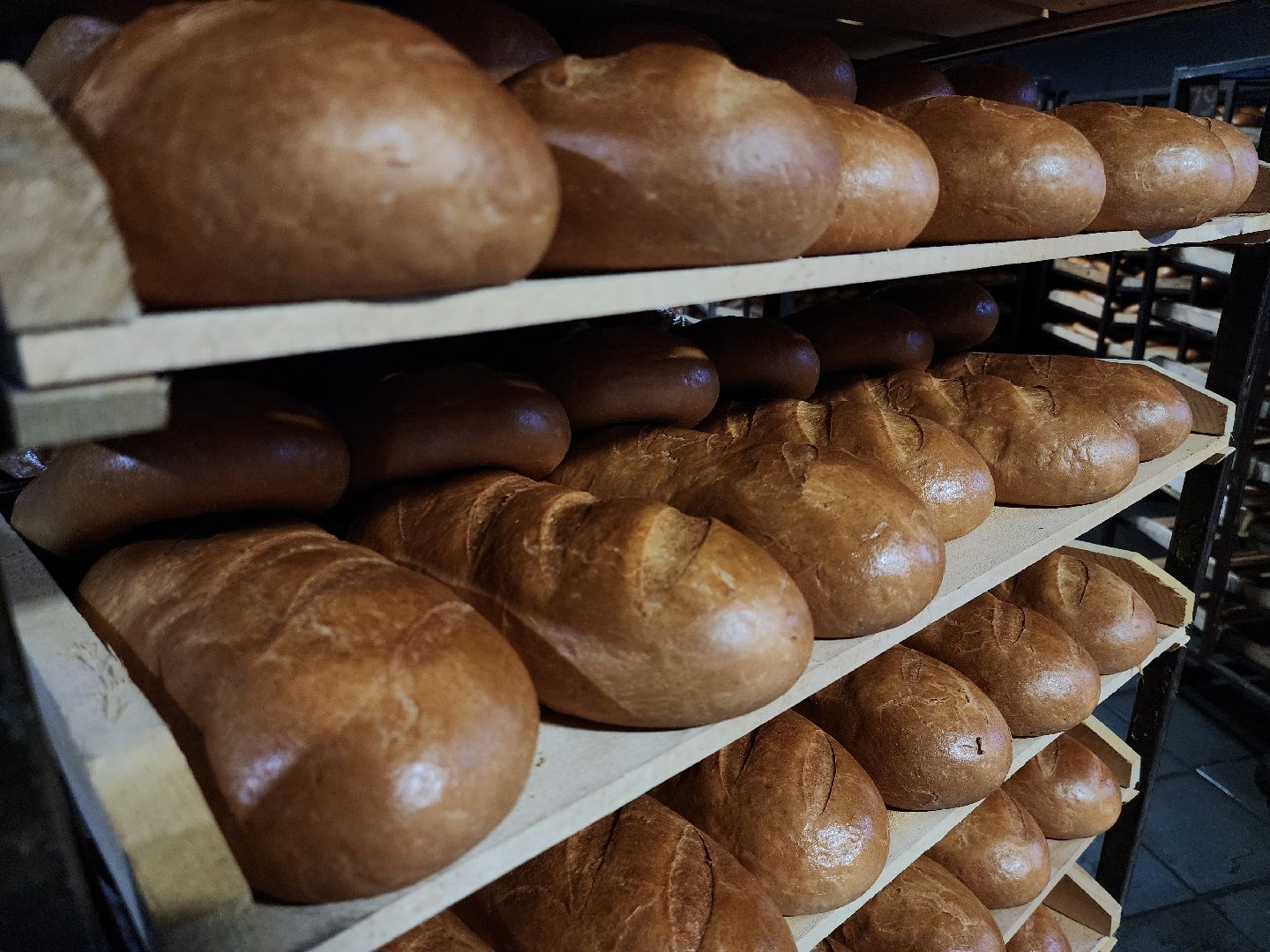 Хлебзавод, Руза, Рузский хлебзавод, модернизация производства, рузский городской округ, экономика, экономика округа,