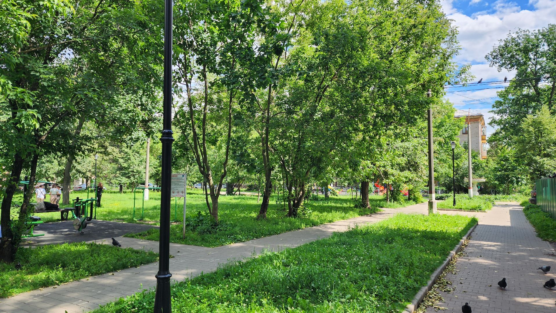 пешие обходы, заместитель главы, Ольга Алферова, жуковский,