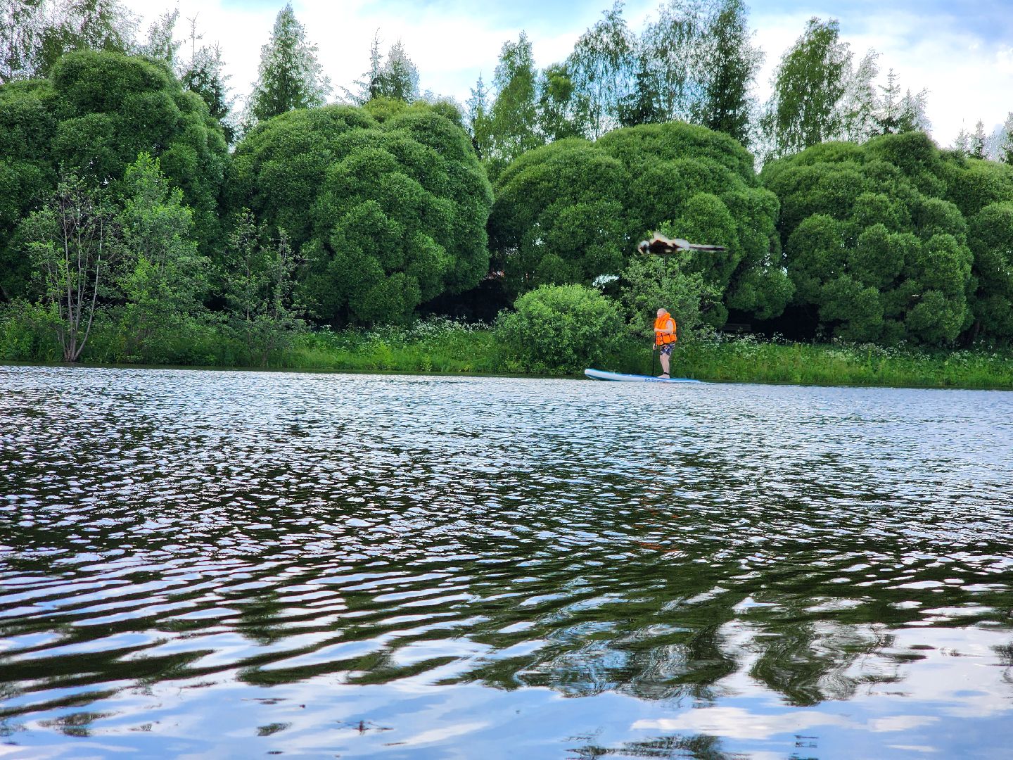 Подольск, Ясенки, Сапборд, реабилитация участников сво,