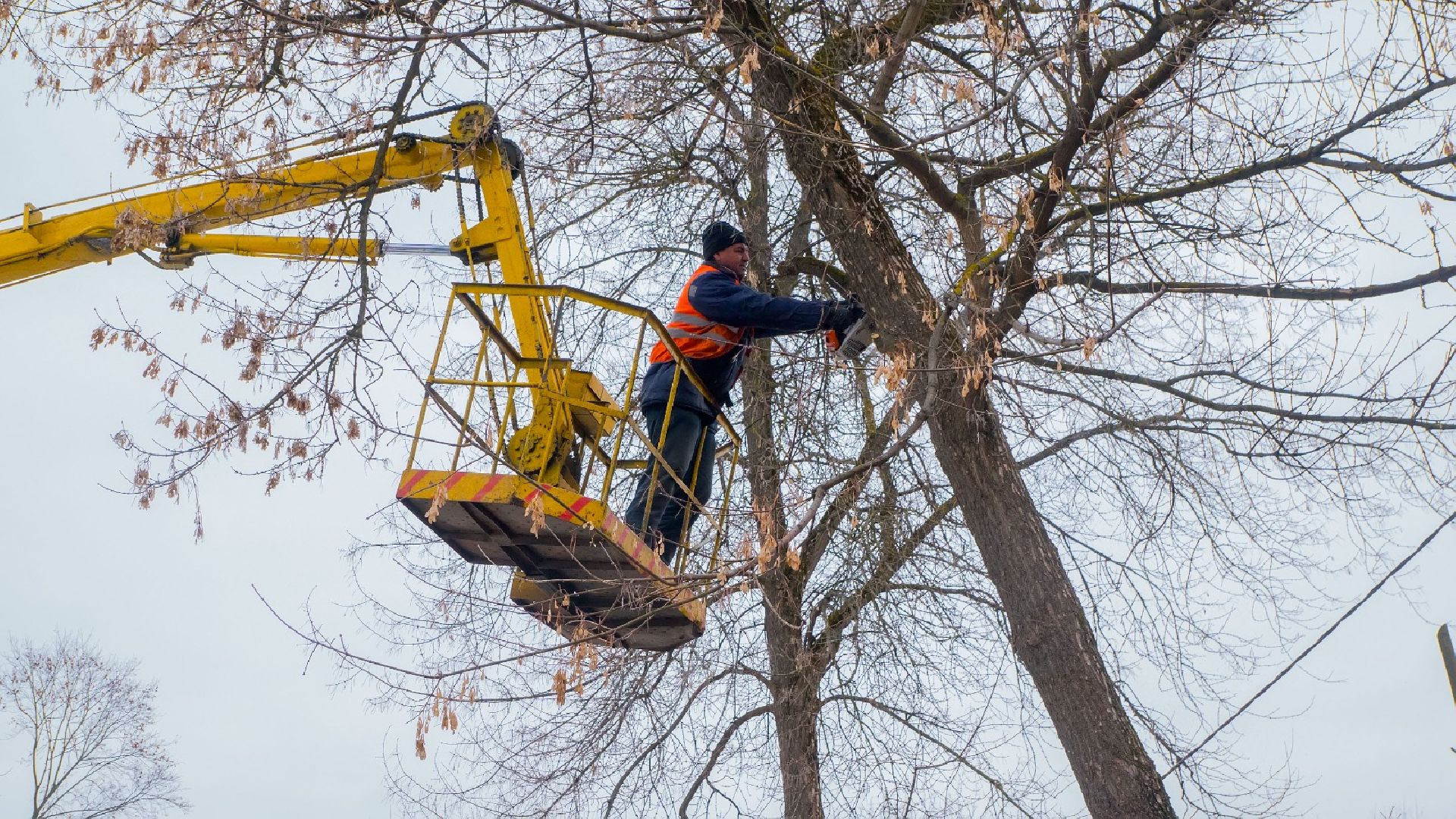 Подольск, субботник