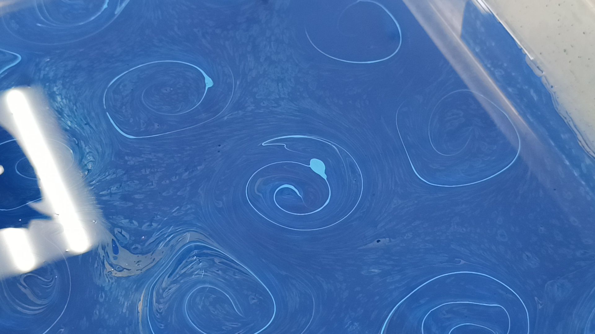 эбру, лобня, досуг,