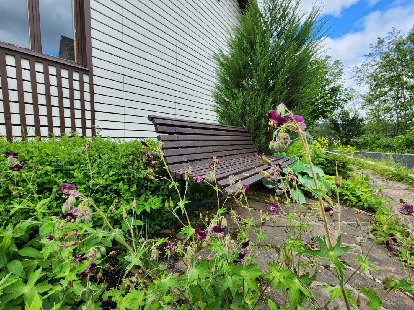 можайск, можайский городской округ, туризм, агротуризм, ранчорф, отдых в подмосковье, лето в подмосковье,