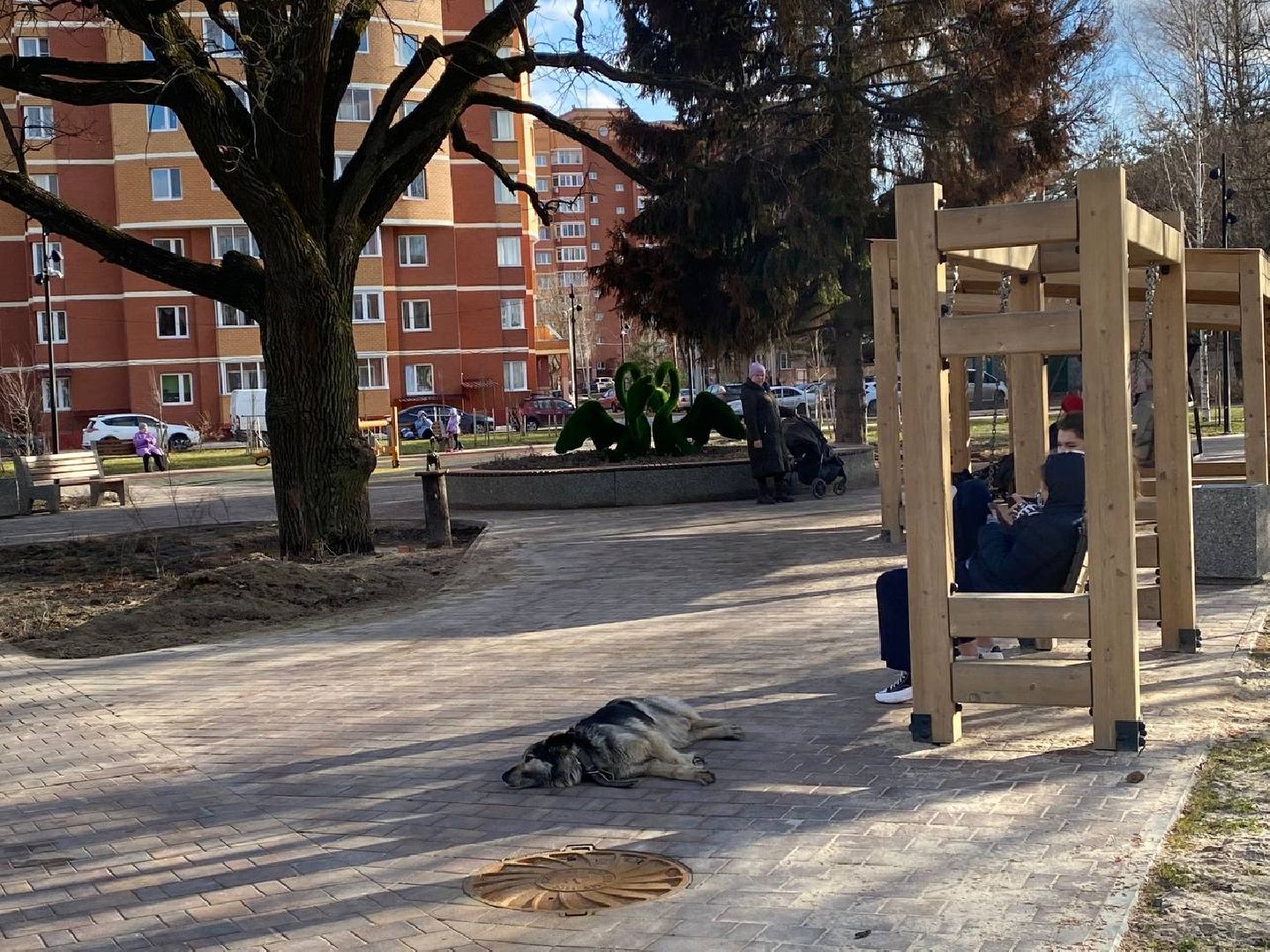 Павловский Посад, городской округ Павловский Посад, перемены, благоустройство, парки, книги, качели, отдых