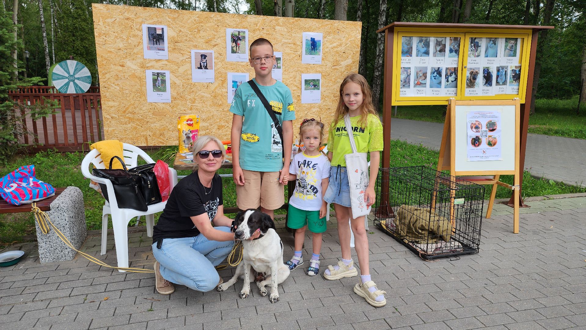 кашира, городской парк, кинолог, кинологическая служба, ко мне мухтар, ветеринар, приют для собак, собаки, дог-шоу,