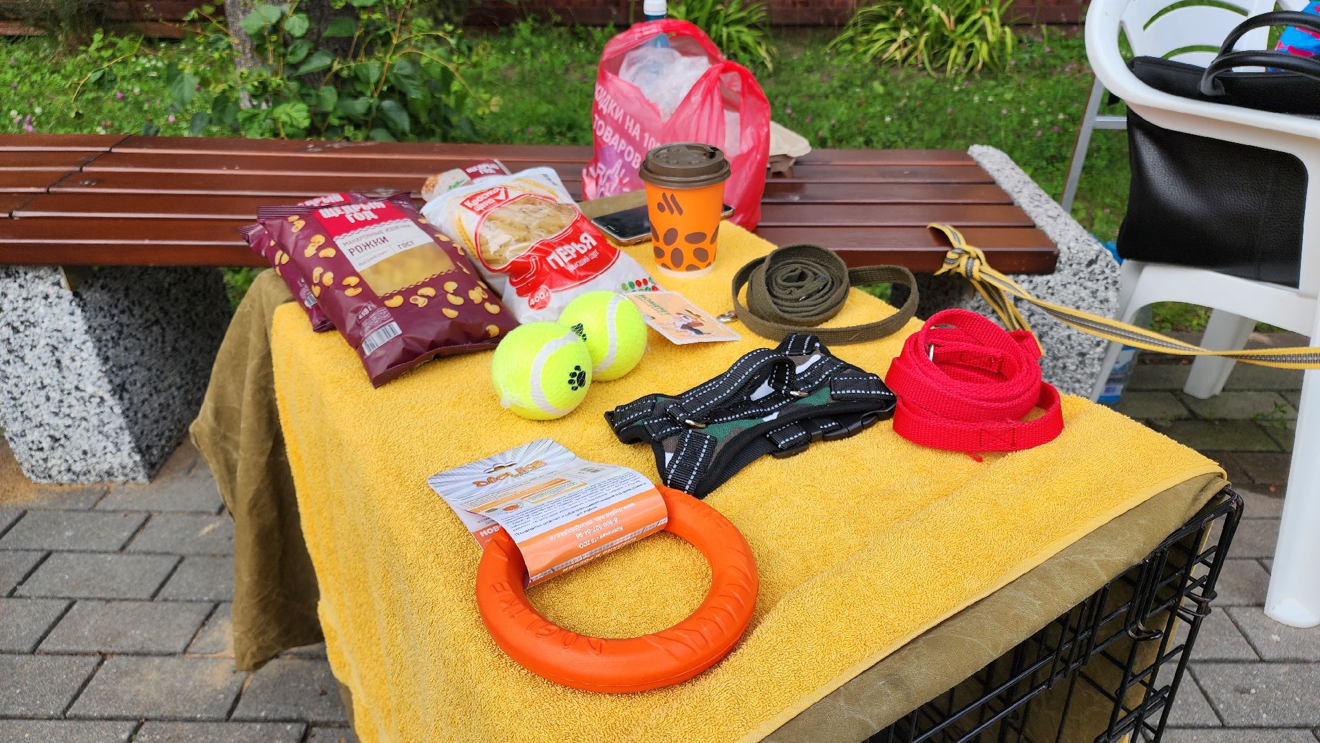 кашира, городской парк, кинолог, кинологическая служба, ко мне мухтар, ветеринар, приют для собак, собаки, дог-шоу,