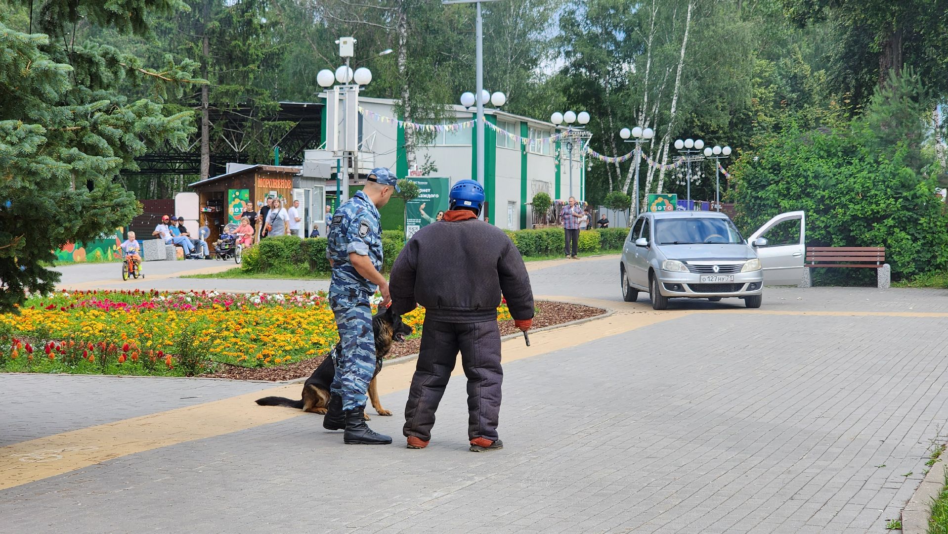 кашира, городской парк, кинолог, кинологическая служба, ко мне мухтар, ветеринар, приют для собак, собаки, дог-шоу,