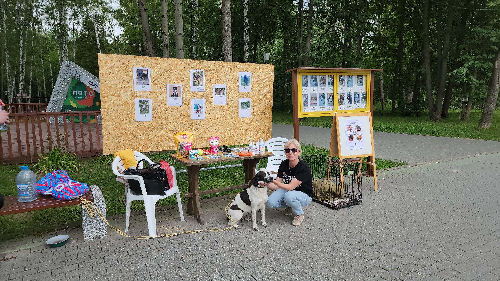 кашира, городской парк, кинолог, кинологическая служба, ко мне мухтар, ветеринар, приют для собак, собаки, дог-шоу,