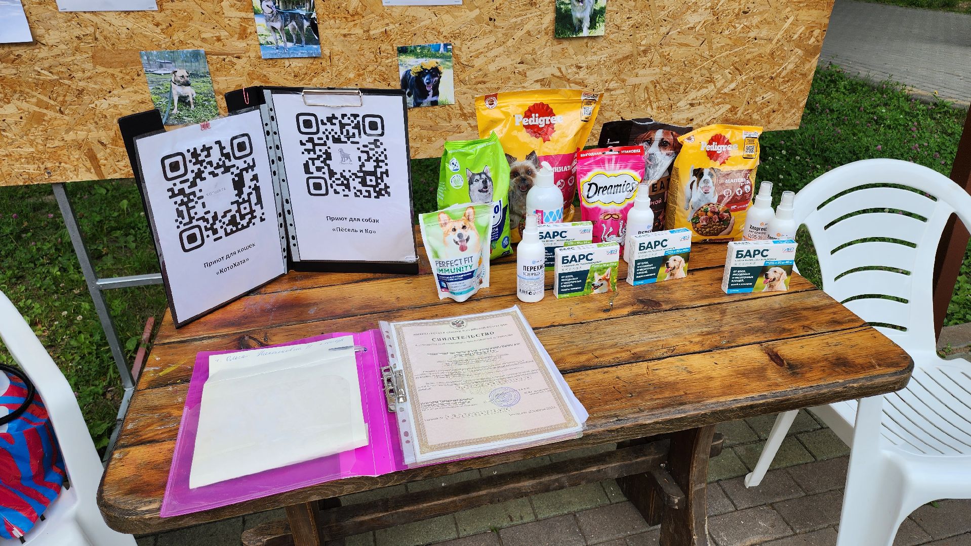 кашира, городской парк, кинолог, кинологическая служба, ко мне мухтар, ветеринар, приют для собак, собаки, дог-шоу,