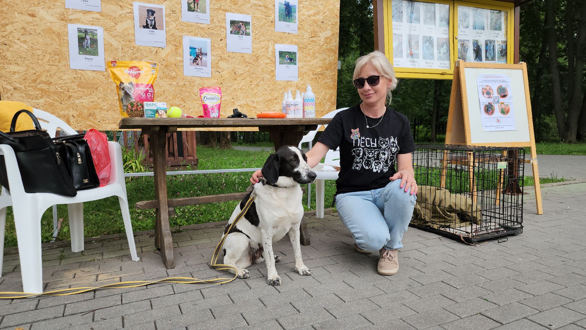 кашира, городской парк, кинолог, кинологическая служба, ко мне мухтар, ветеринар, приют для собак, собаки, дог-шоу,