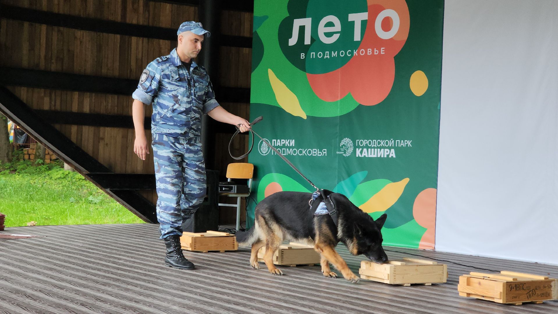 кашира, городской парк, кинолог, кинологическая служба, ко мне мухтар, ветеринар, приют для собак, собаки, дог-шоу,